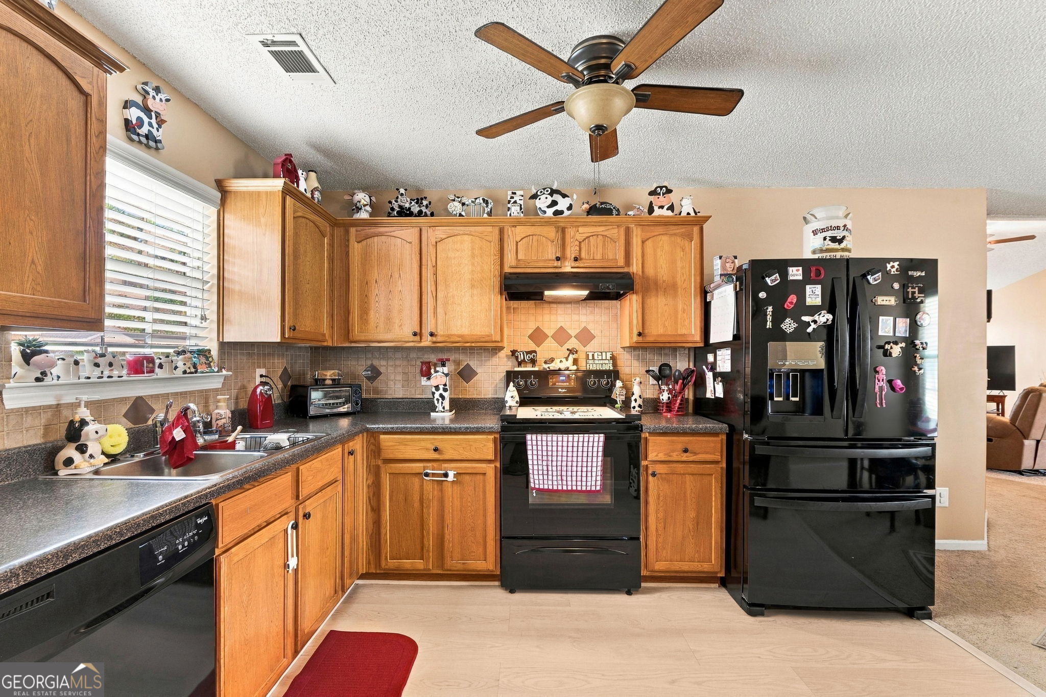 255 Galway Lane Property Photo 16