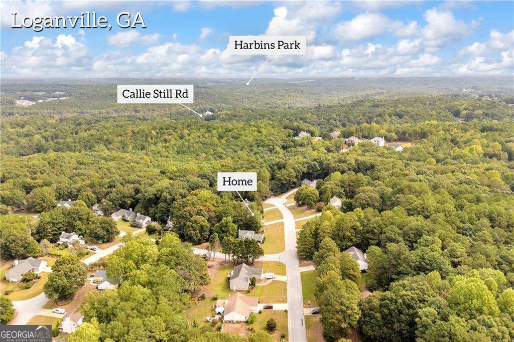 1450 Timber Walk Drive Property Photo 29