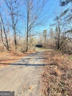 498 Turkey Creek Circle Property Photo 14
