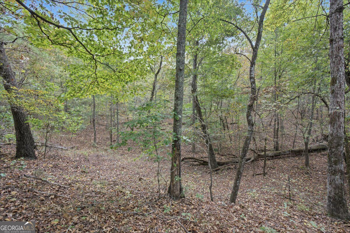 63 Hardin Bridge Road Sw Property Photo 54