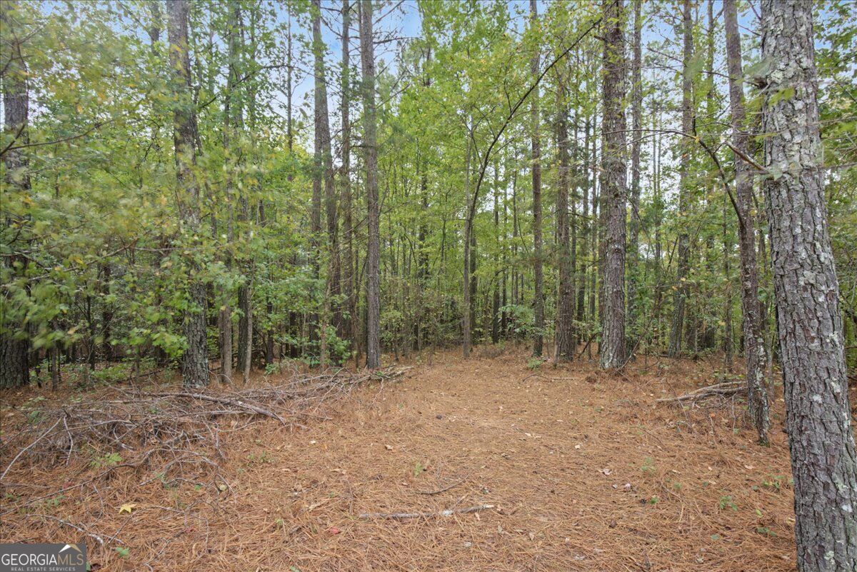 63 Hardin Bridge Road Sw Property Photo 55