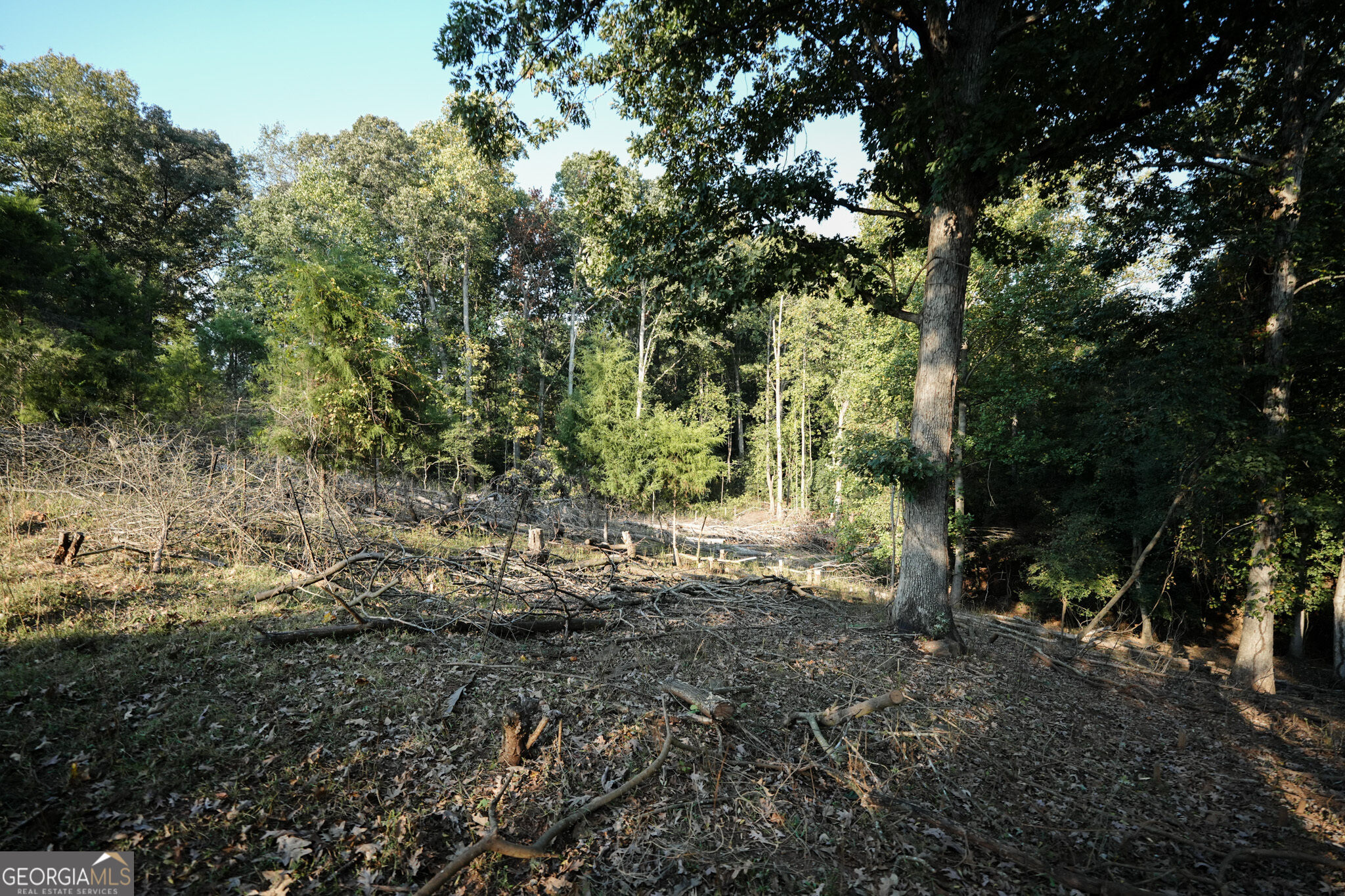 2614 Hartwell Highway Property Photo 25