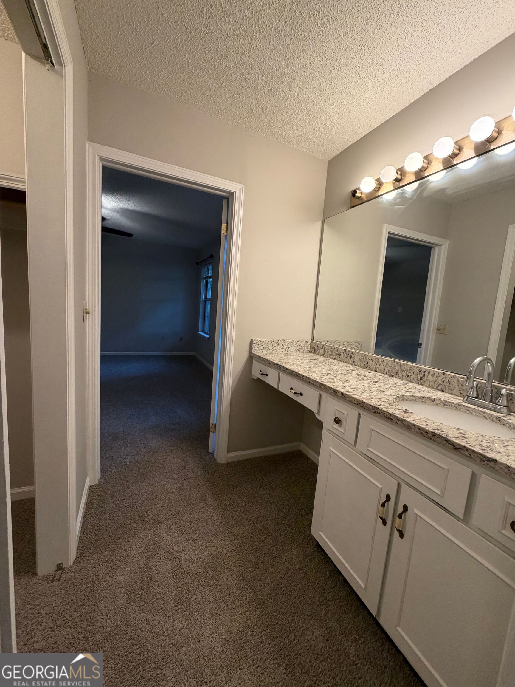 453 Mallard Pointe Drive Property Photo 33