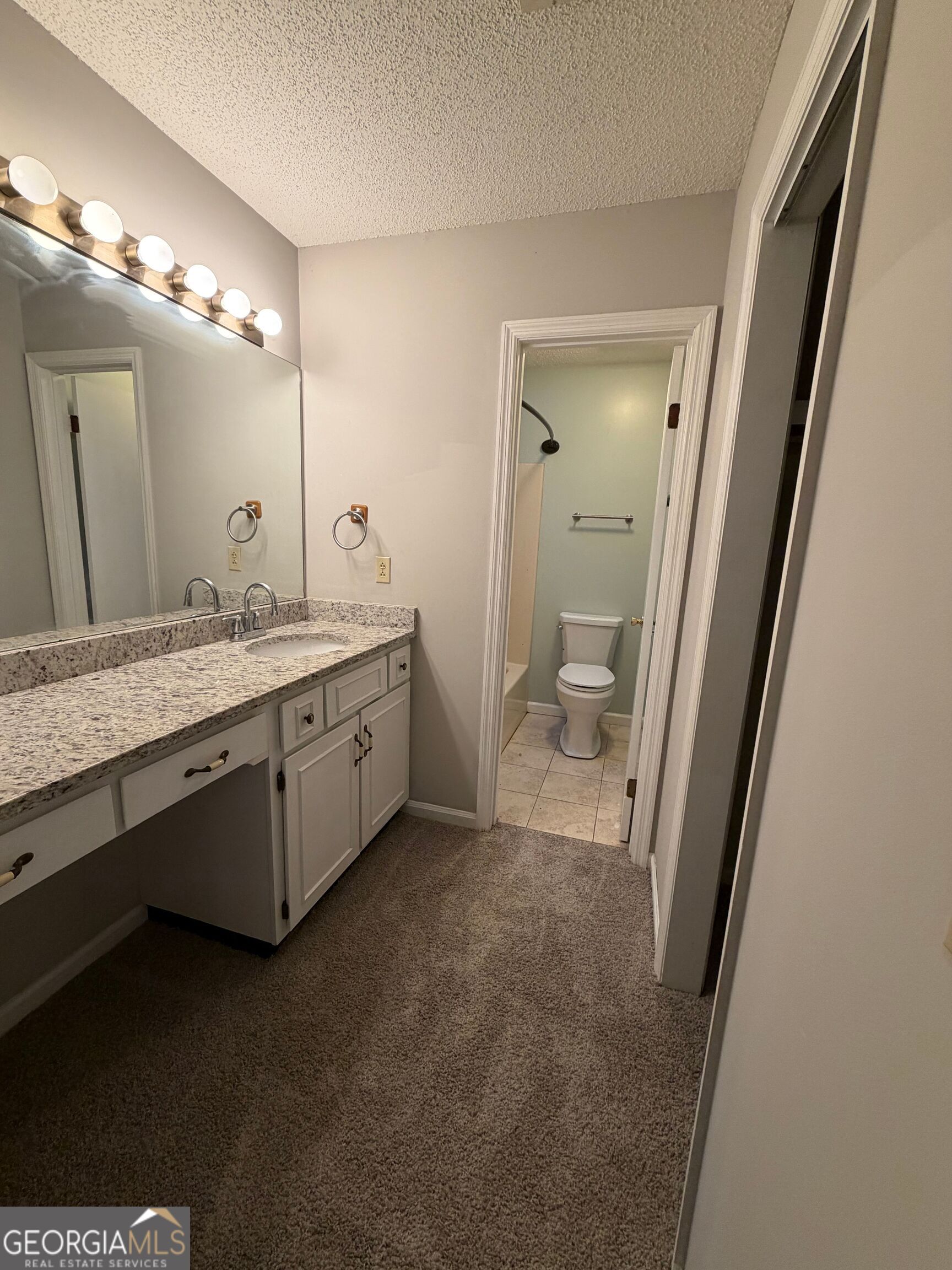 453 Mallard Pointe Drive Property Photo 34