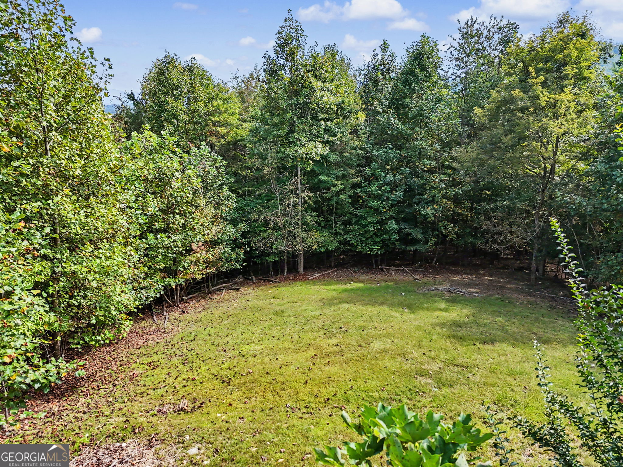 804 Wikle Road Property Photo 56