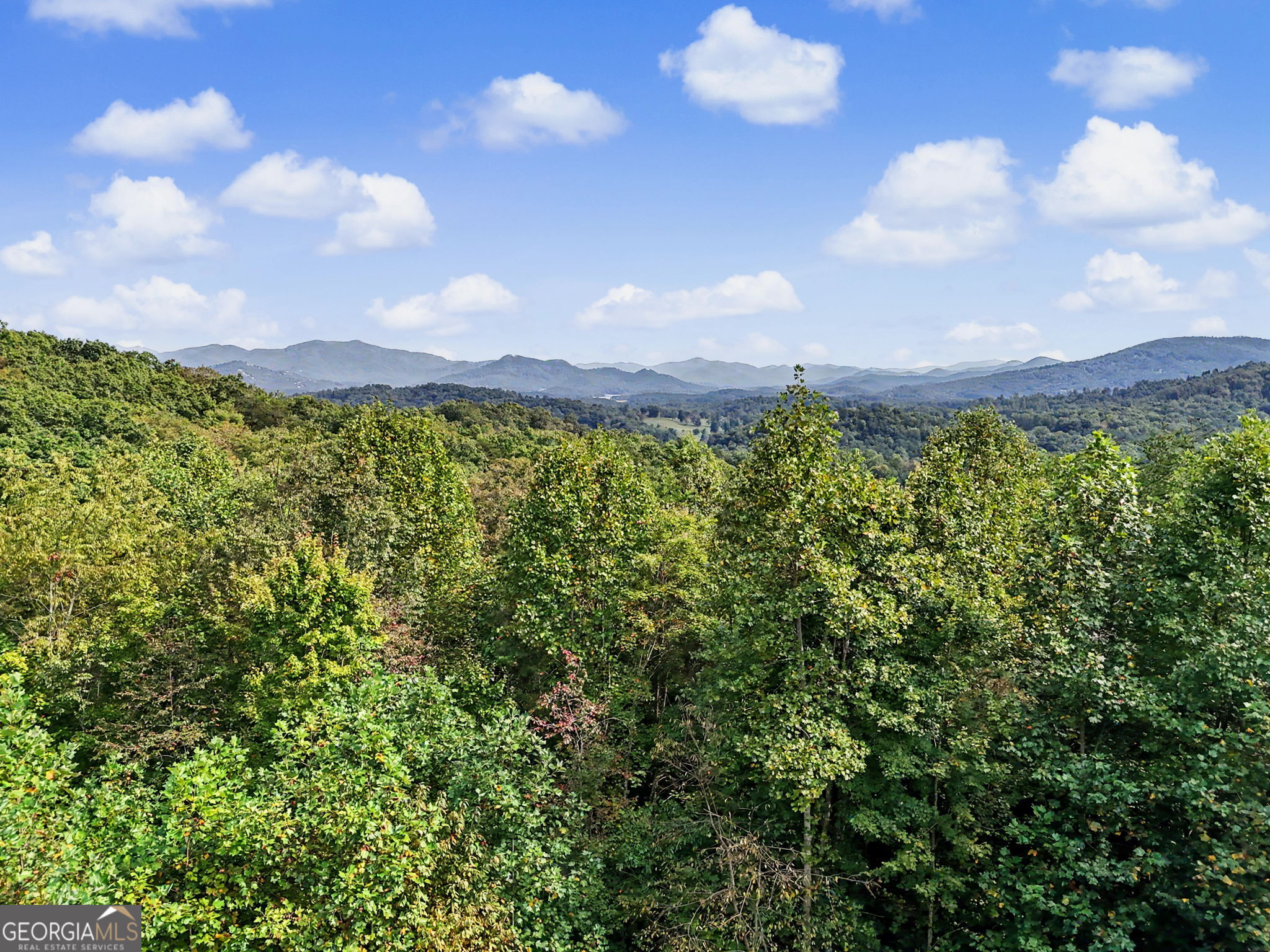 804 Wikle Road Property Photo 58