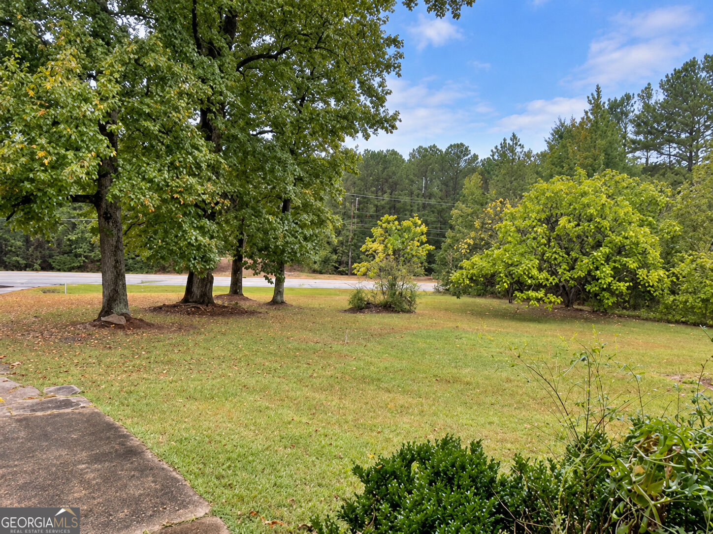 1552 Lexington Highway Property Photo 4