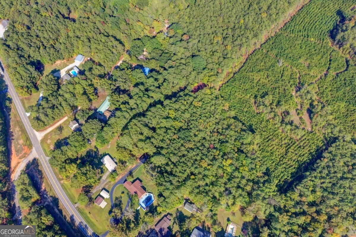 1552 Lexington Highway Property Photo 17