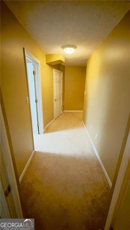 2553 Summit Cove Drive Property Photo 13