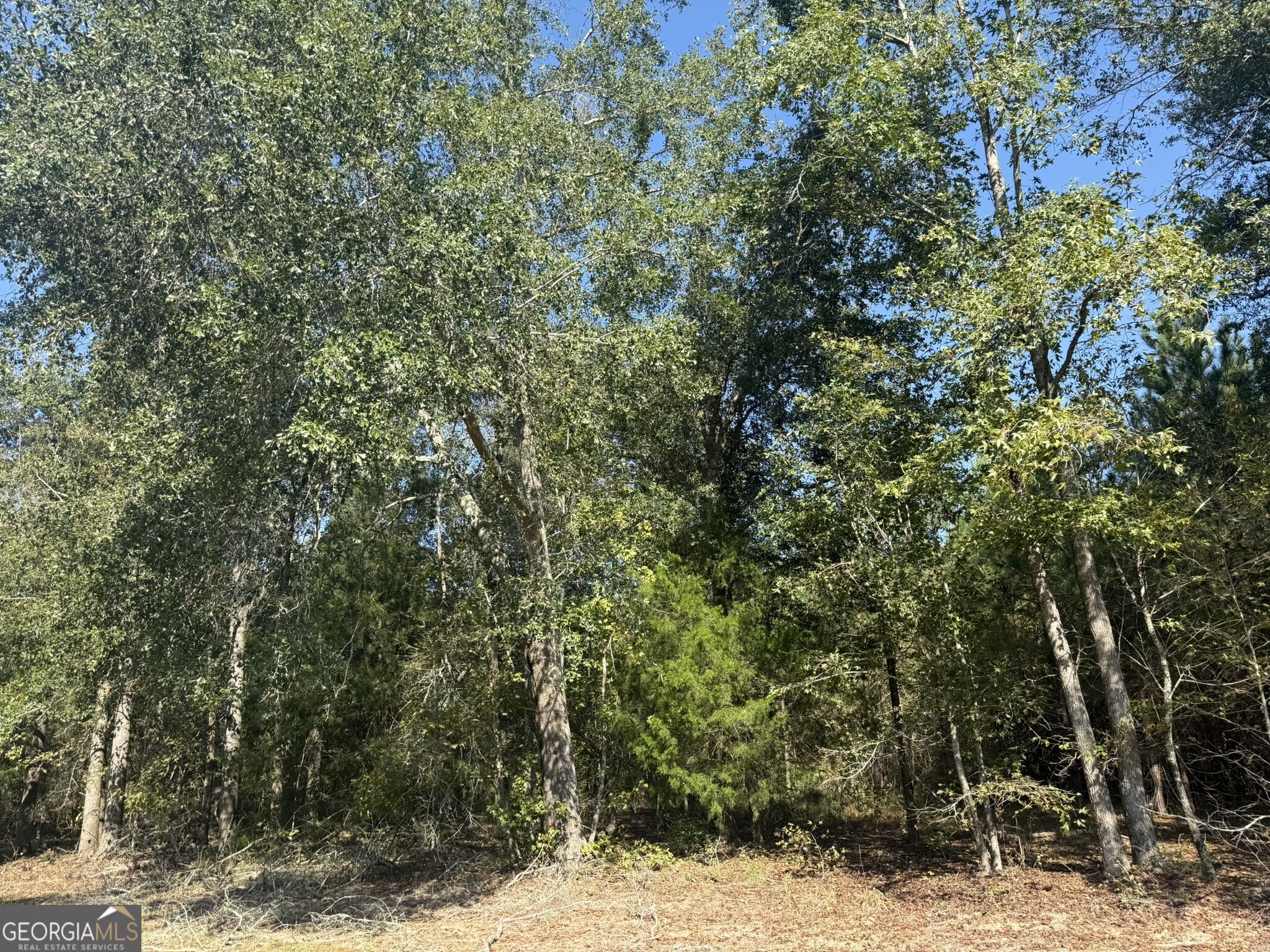 001 216 Highway Property Photo 1