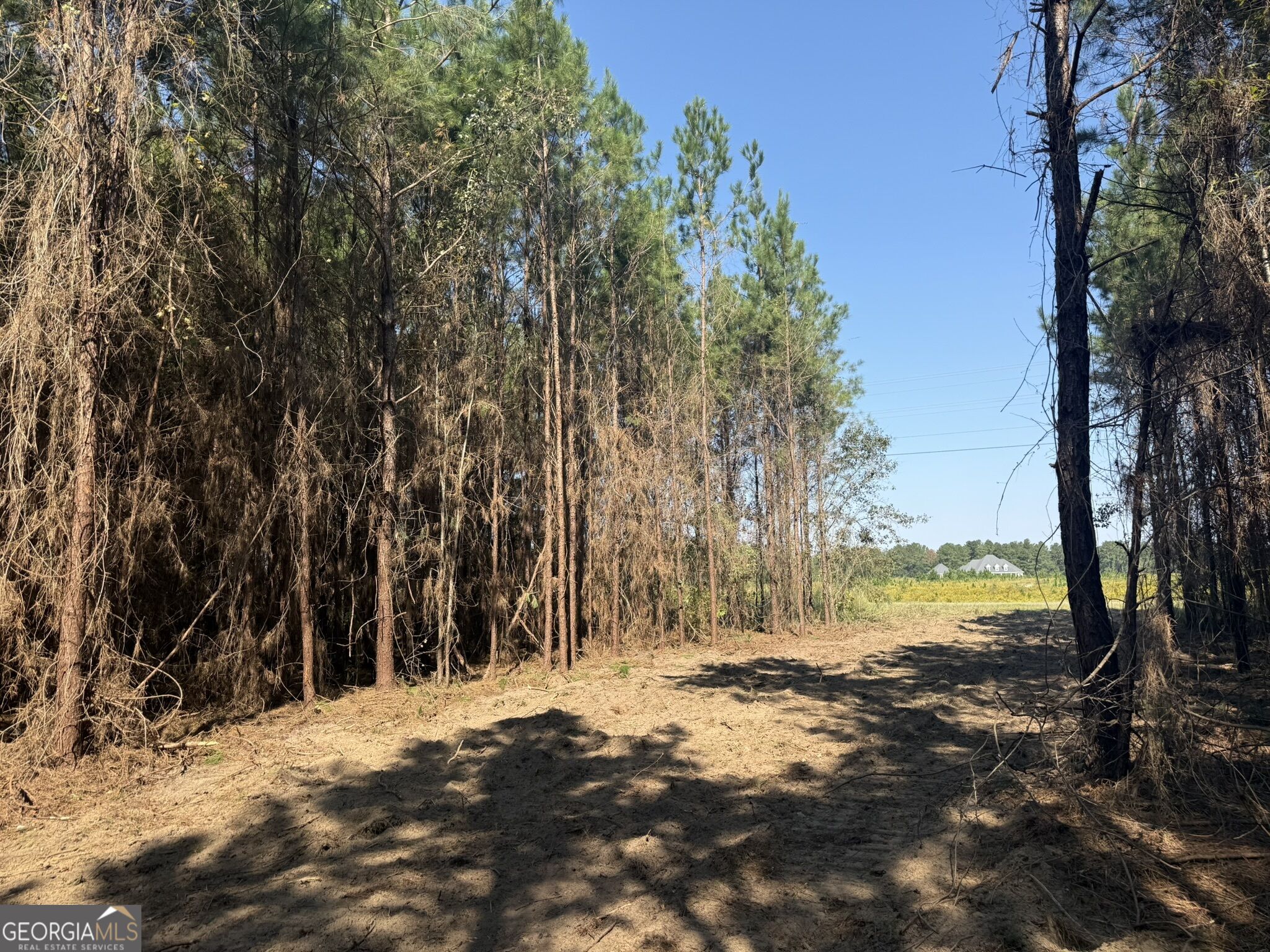 021 216 Highway Property Photo 1