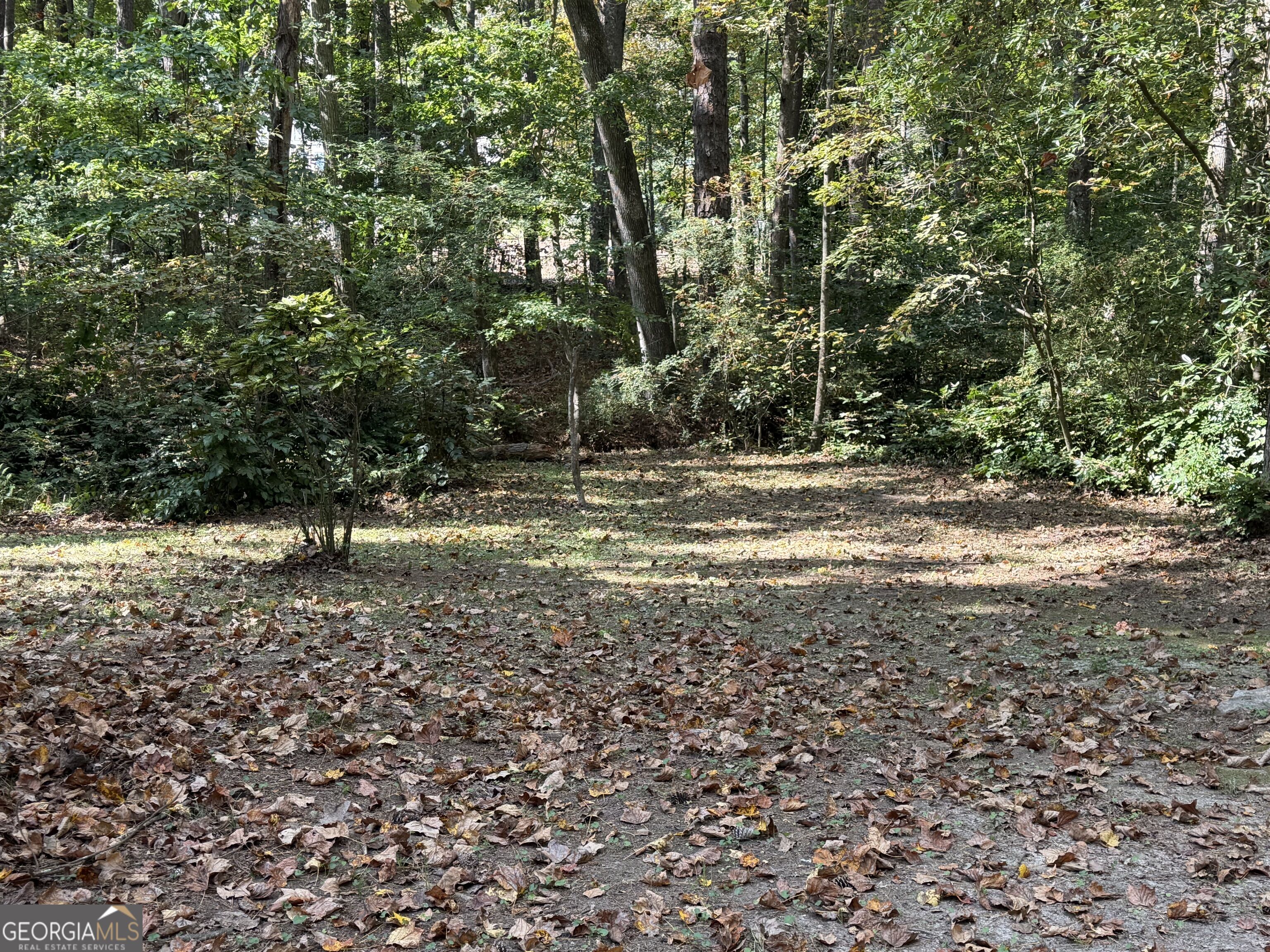105 Northlake Dr Property Photo 9
