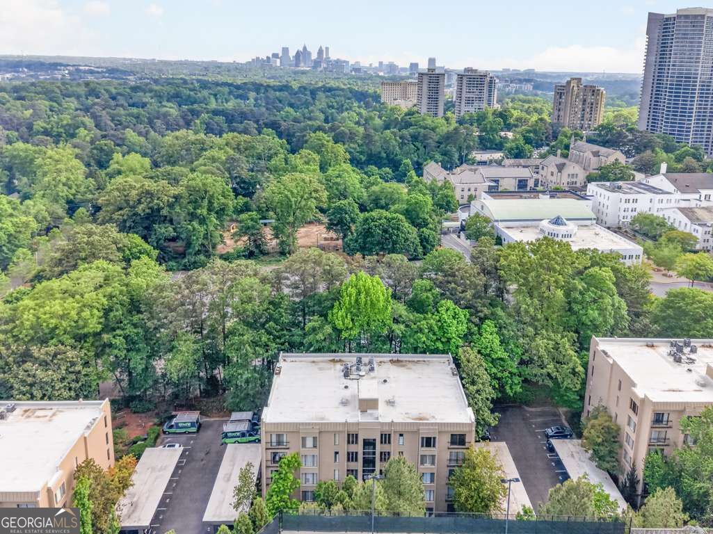 2769 Peachtree Road Ne # 10 Property Photo 49
