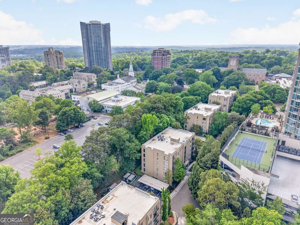 2769 Peachtree Road Ne # 10 Property Photo 50