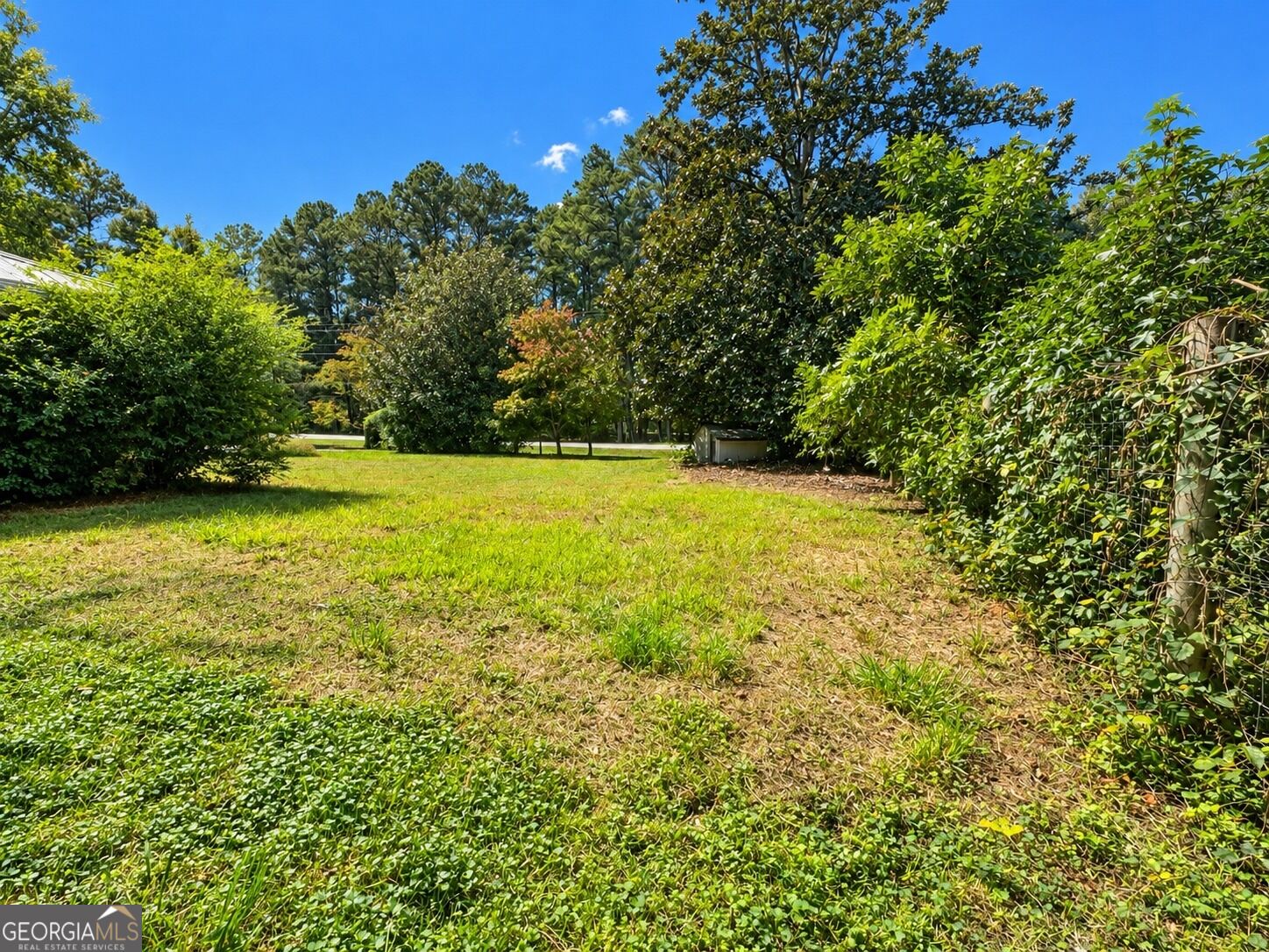3356 Lenora Church Road Property Photo 5