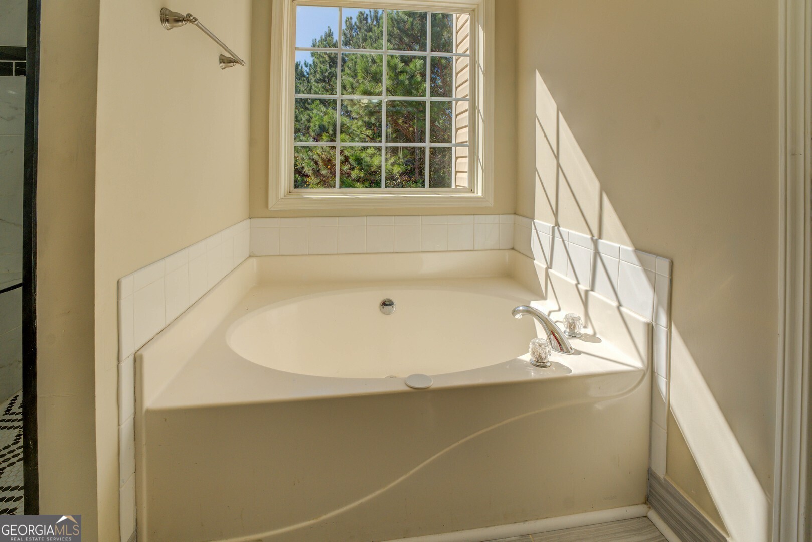 2436 Green Hollow Court Property Photo 27