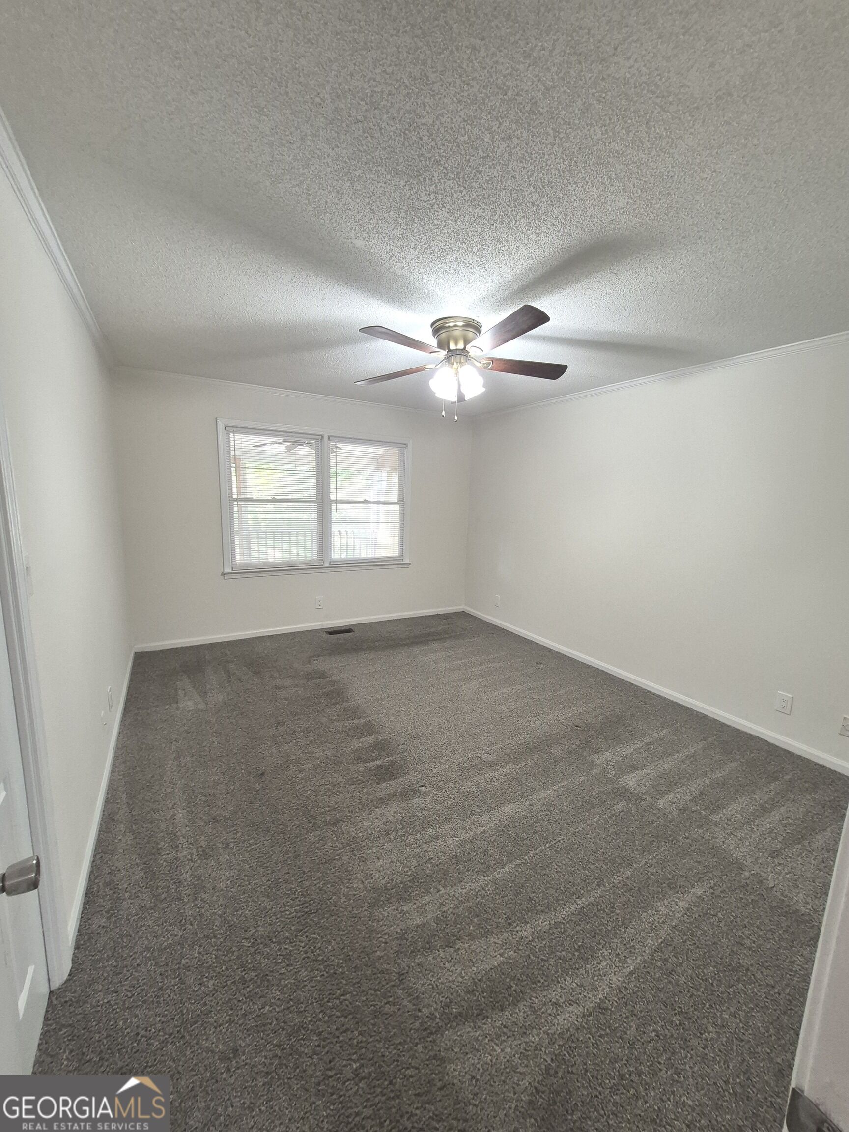 162 N Springs Court Property Photo 5