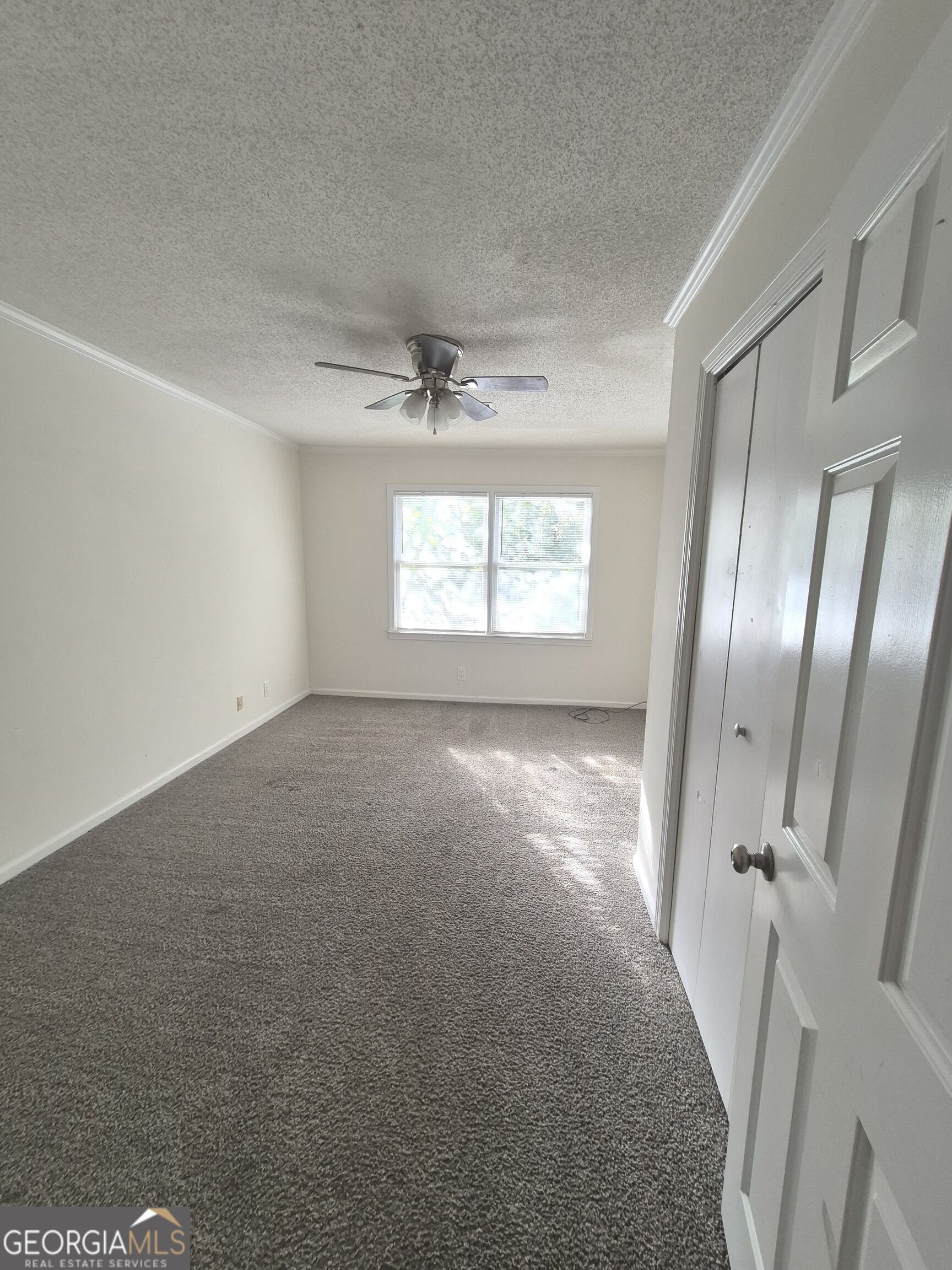 162 N Springs Court Property Photo 11
