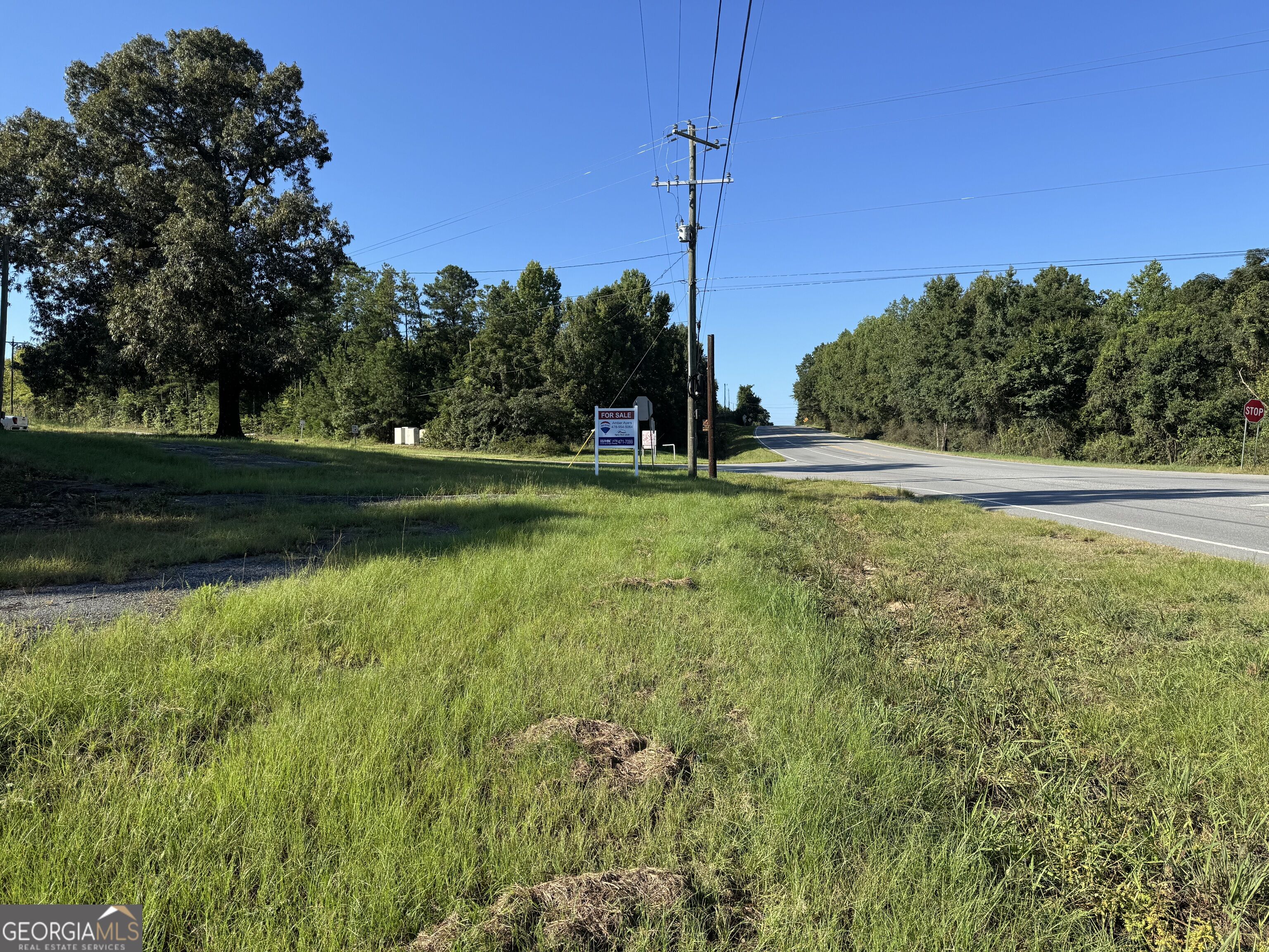 105 Henderson Road Property Photo 4