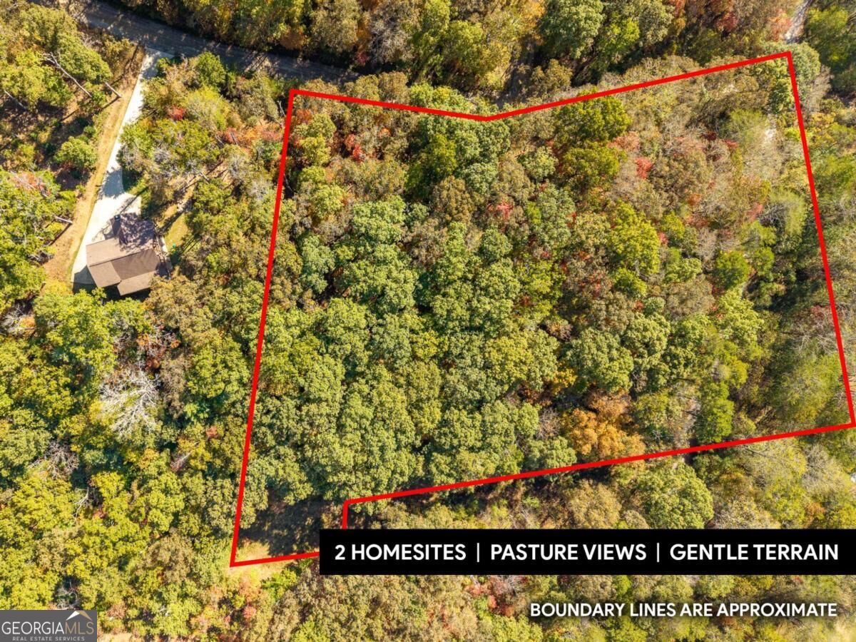 3.14 Ac Hot House Drive Property Photo 1