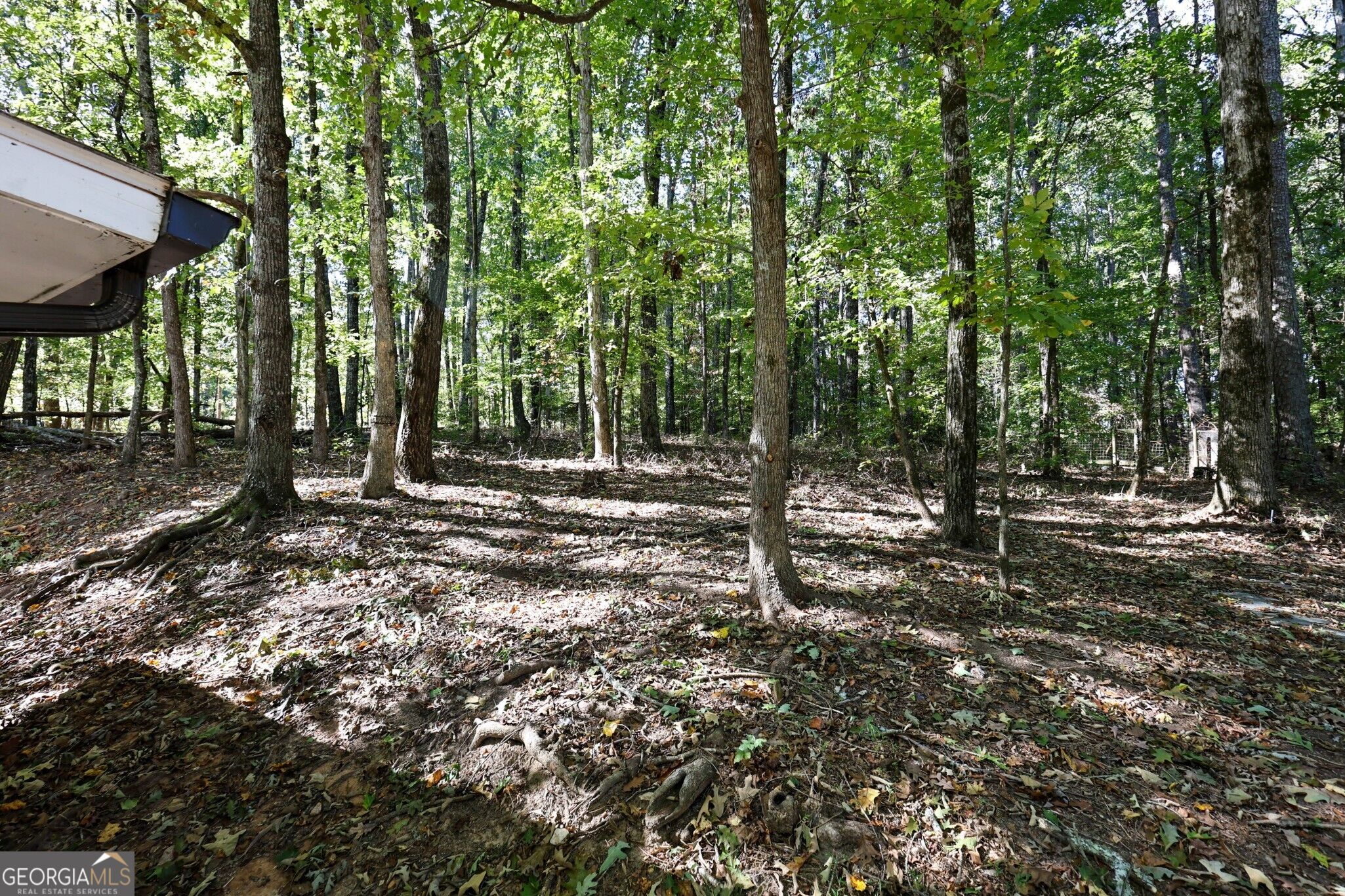 4944 Shiloh Drive Property Photo 35