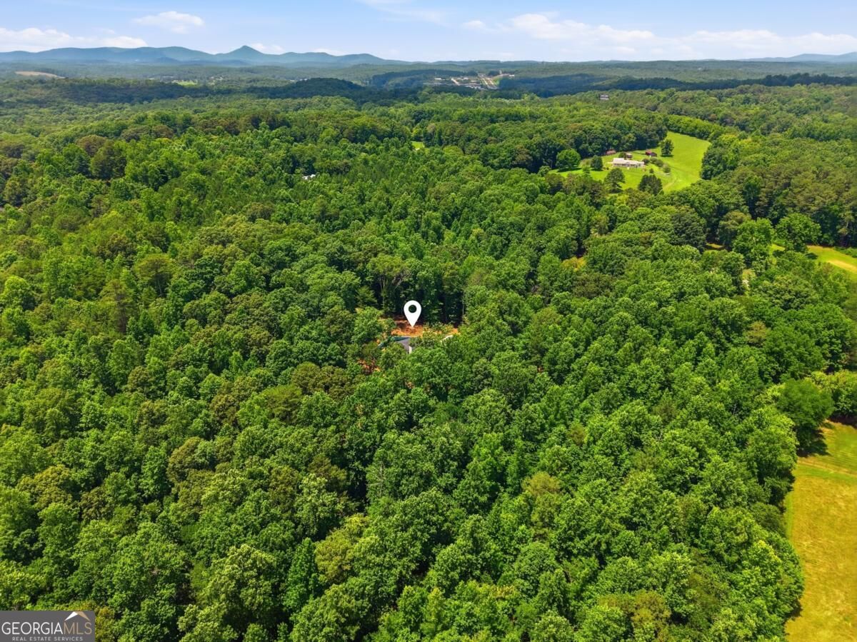 1684 Fairview Road Property Photo 64