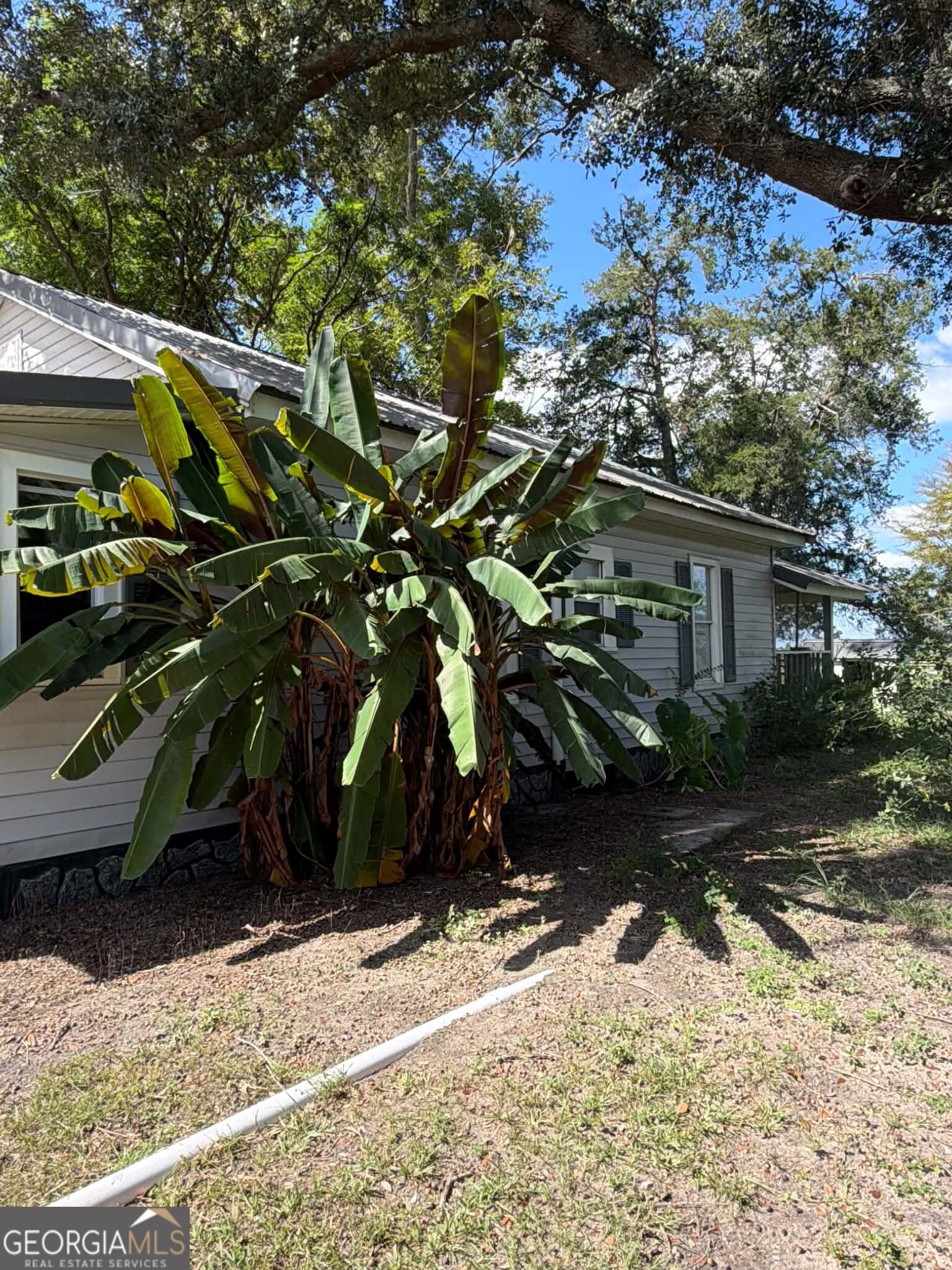 46 Sumner Rd Property Photo 2