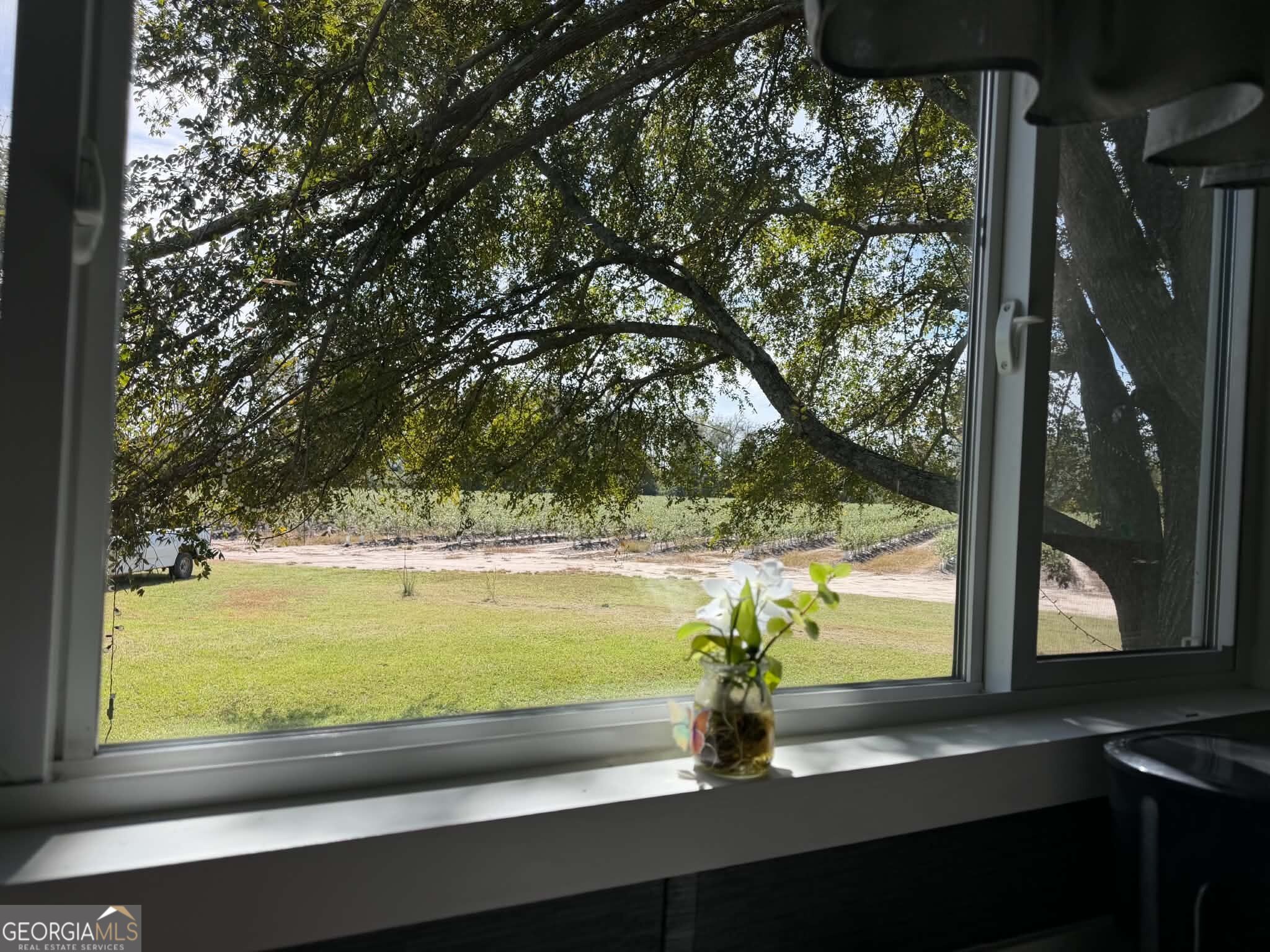 46 Sumner Rd Property Photo 12