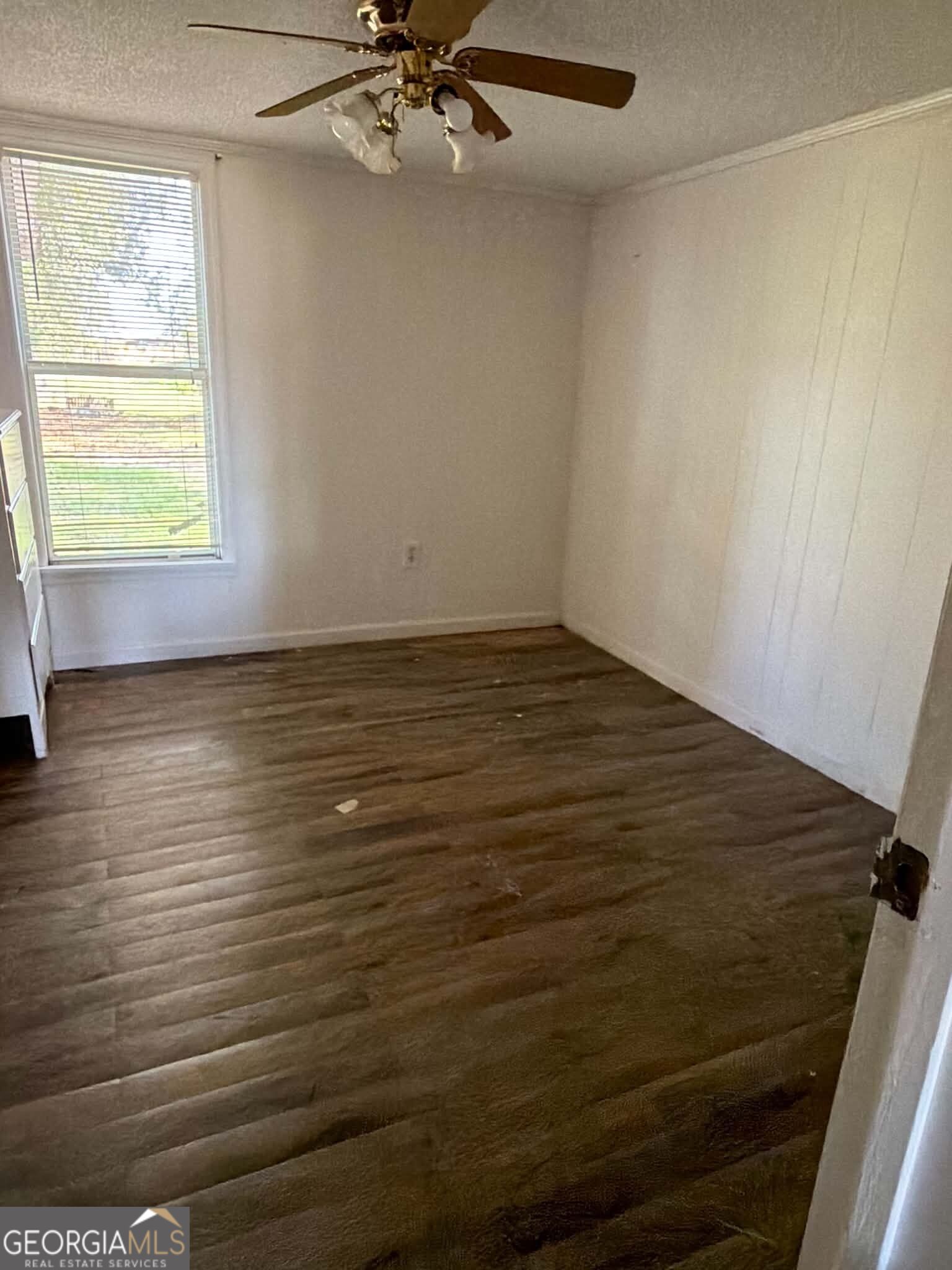 46 Sumner Rd Property Photo 28