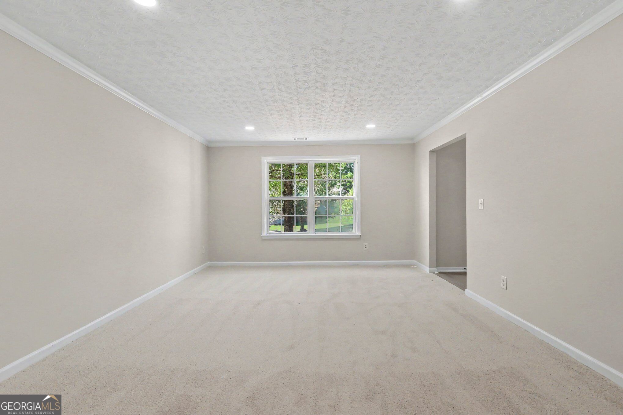 1128 Mitford Lane Property Photo 11