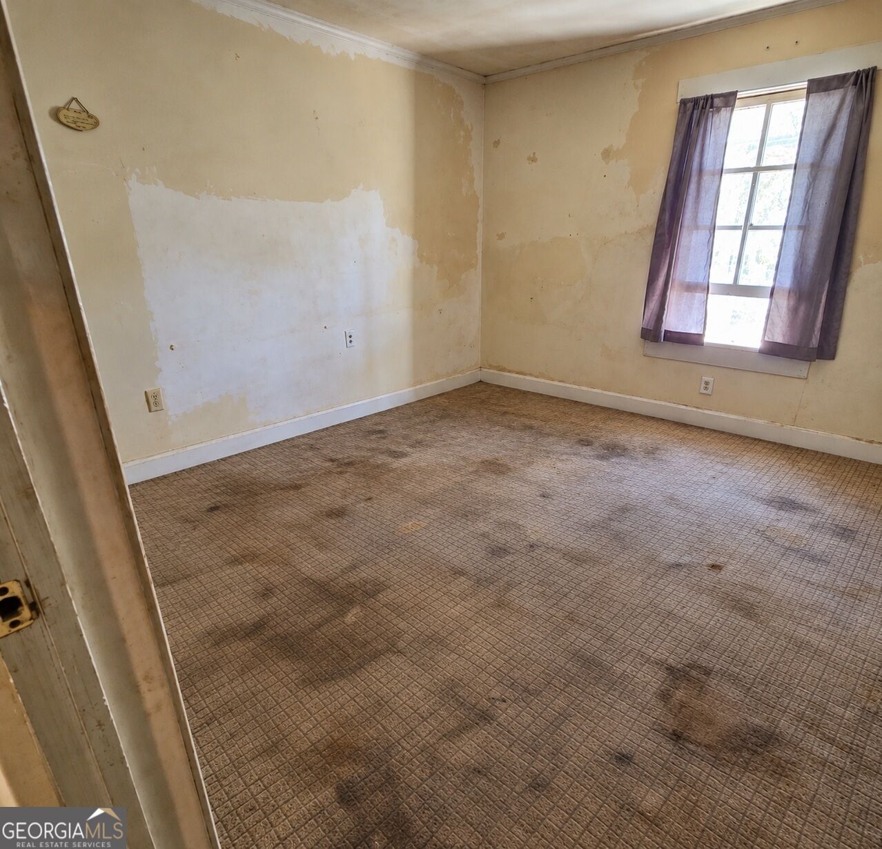 250 Davis Avenue Property Photo 4