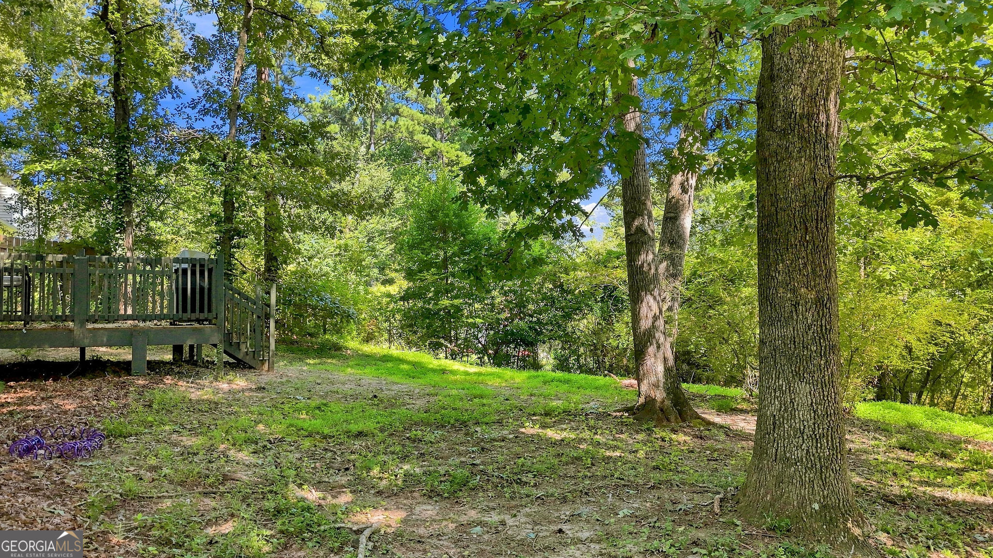 2313 Ivy Crest Drive Property Photo 24