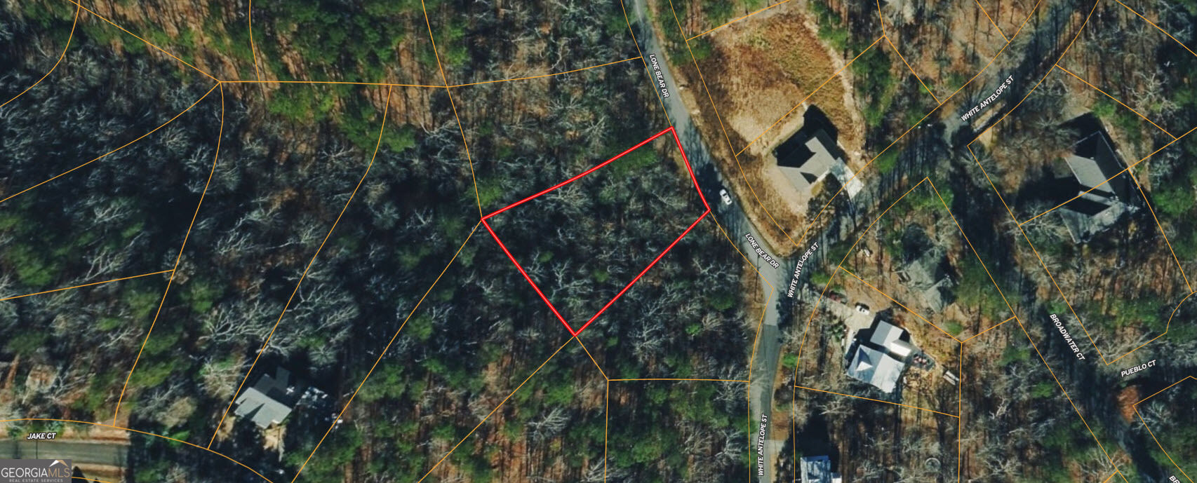 166 Lone Bear Drive Property Photo 1
