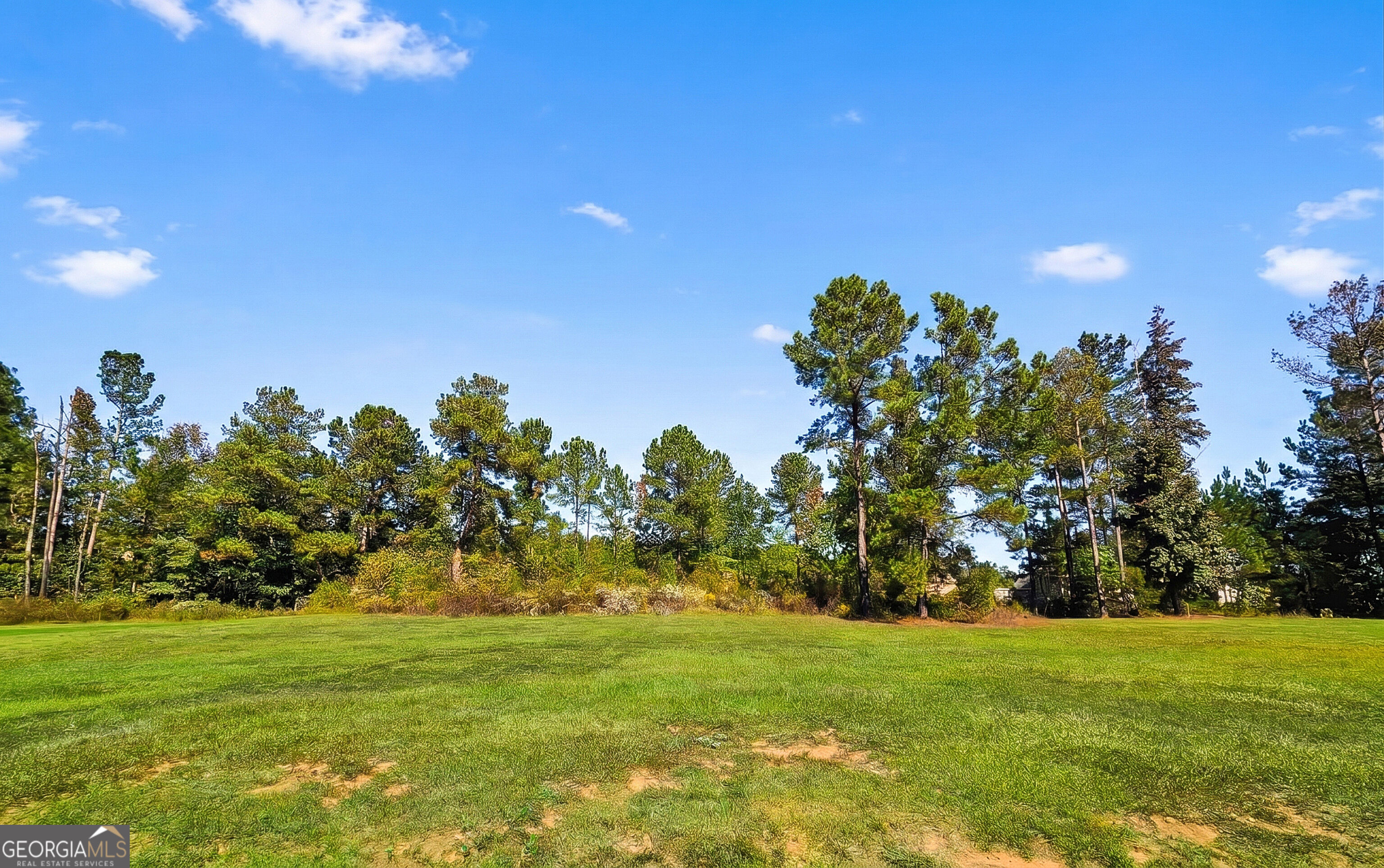 85 Triumph Trail Property Photo 23