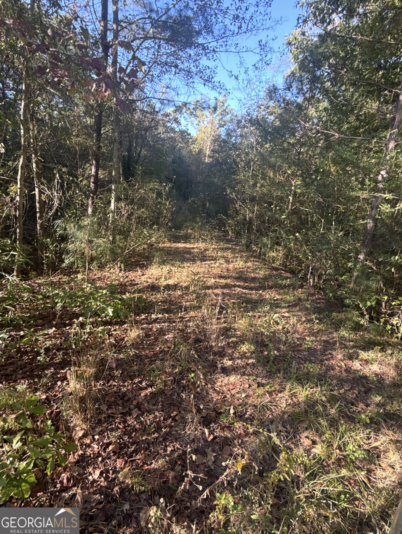 939 Chappell Mill Road Property Photo 1