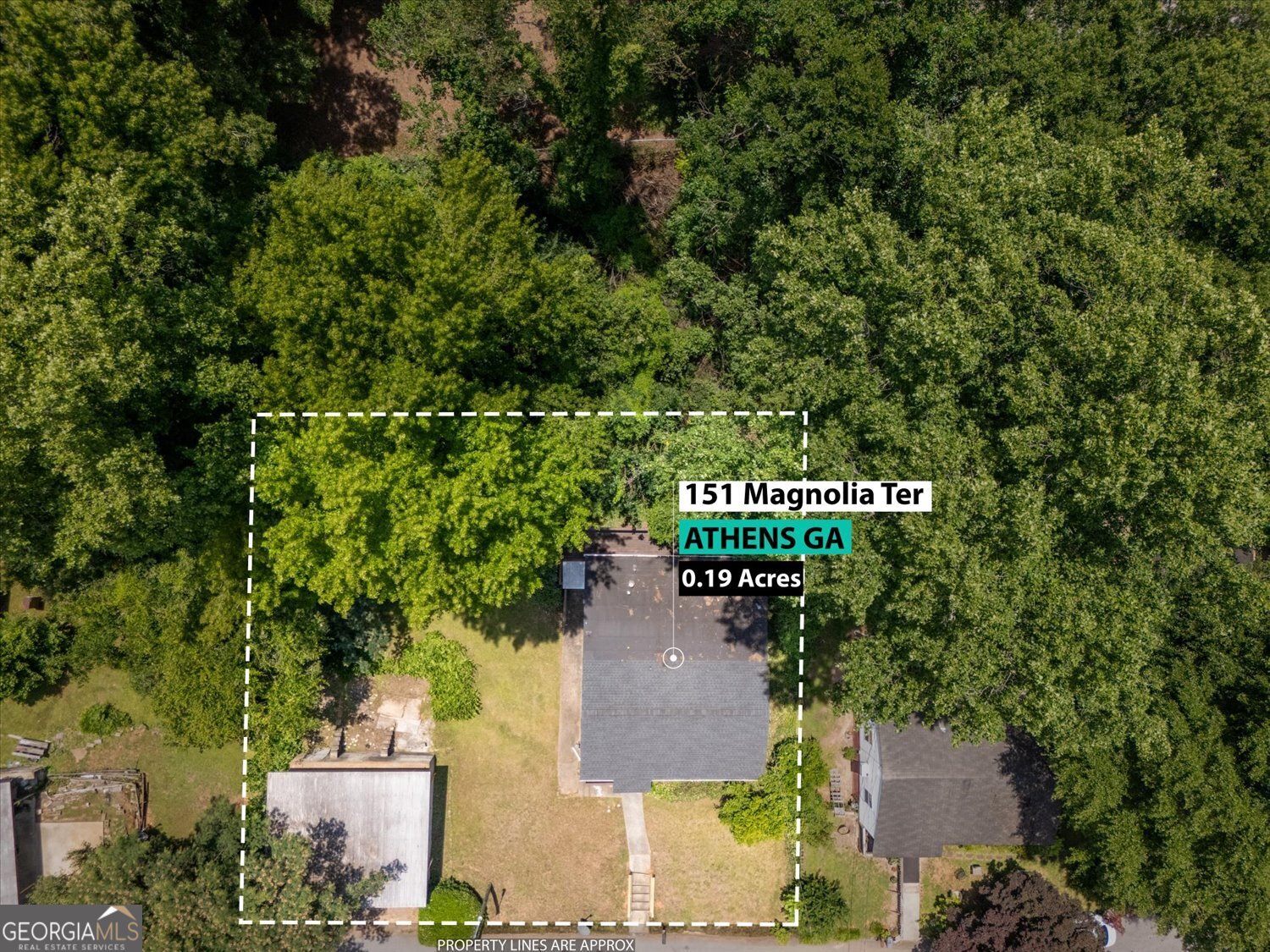 151 Magnolia Terrace