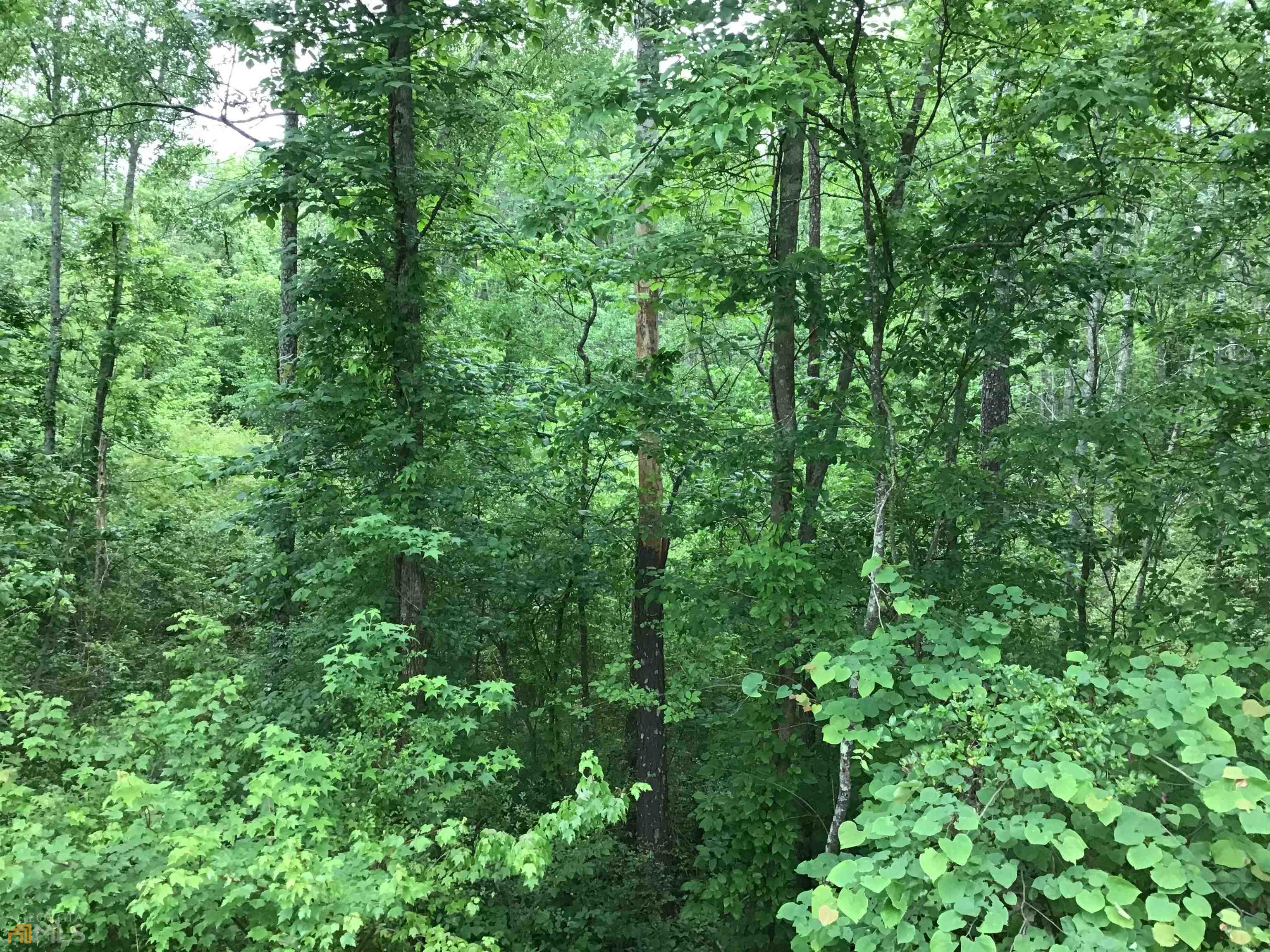 0 Lick Creek Road Ne # C Property Photo 14