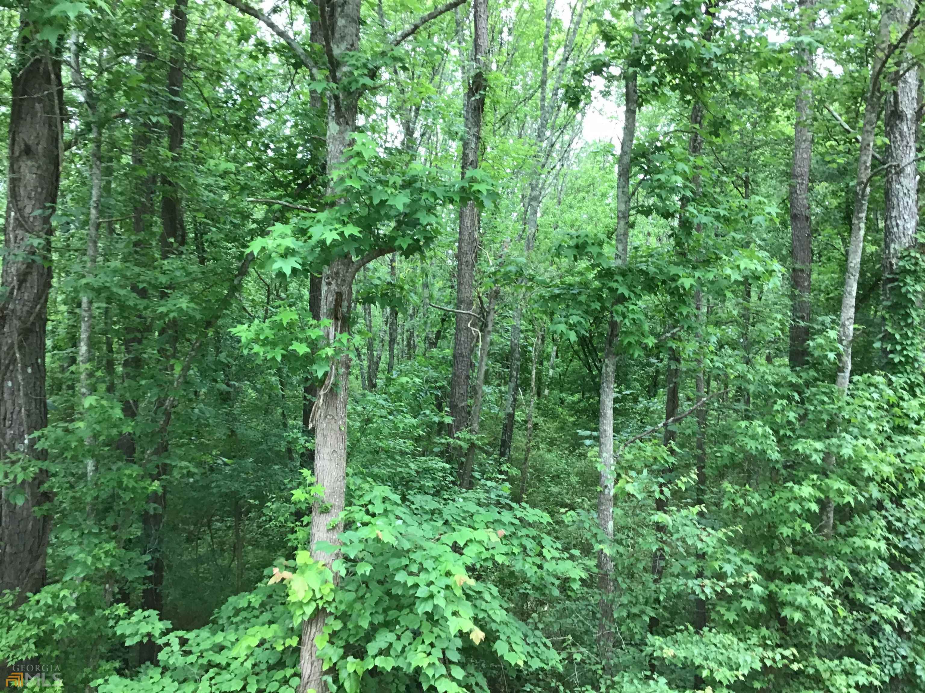 0 Lick Creek Road Ne # C Property Photo 15