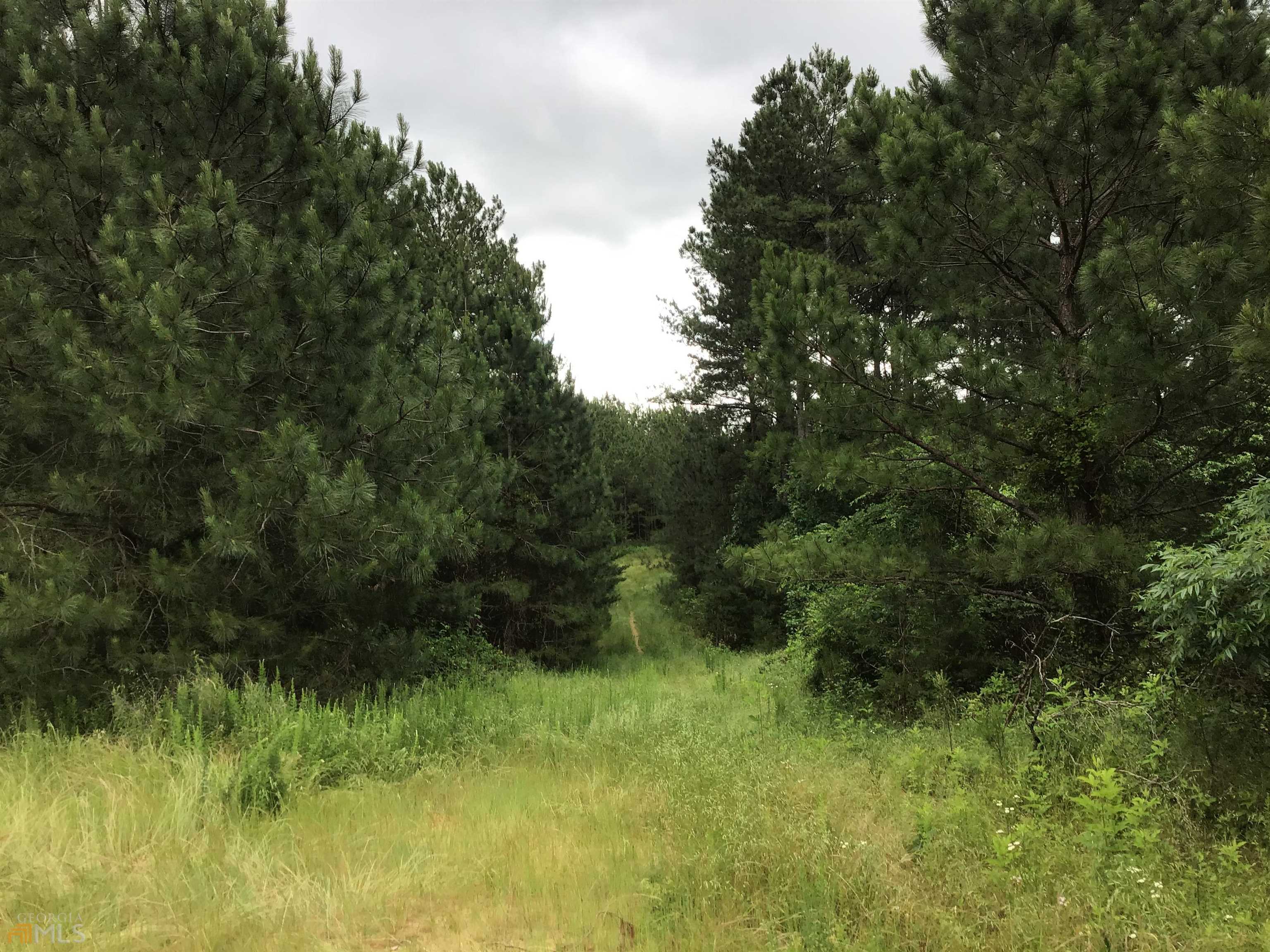 0 Lick Creek Road Ne # C Property Photo 17