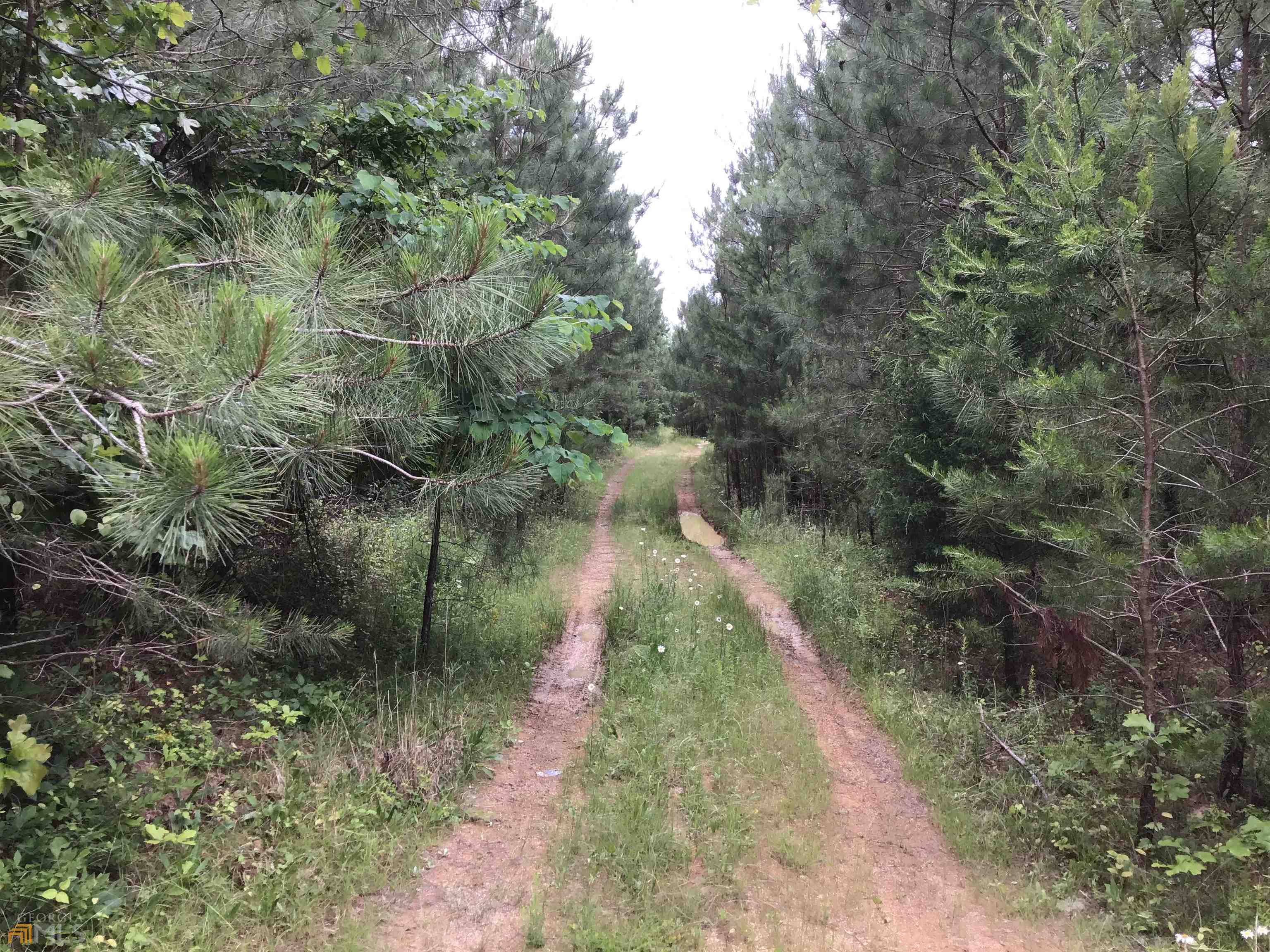 0 Lick Creek Road Ne # C Property Photo 18