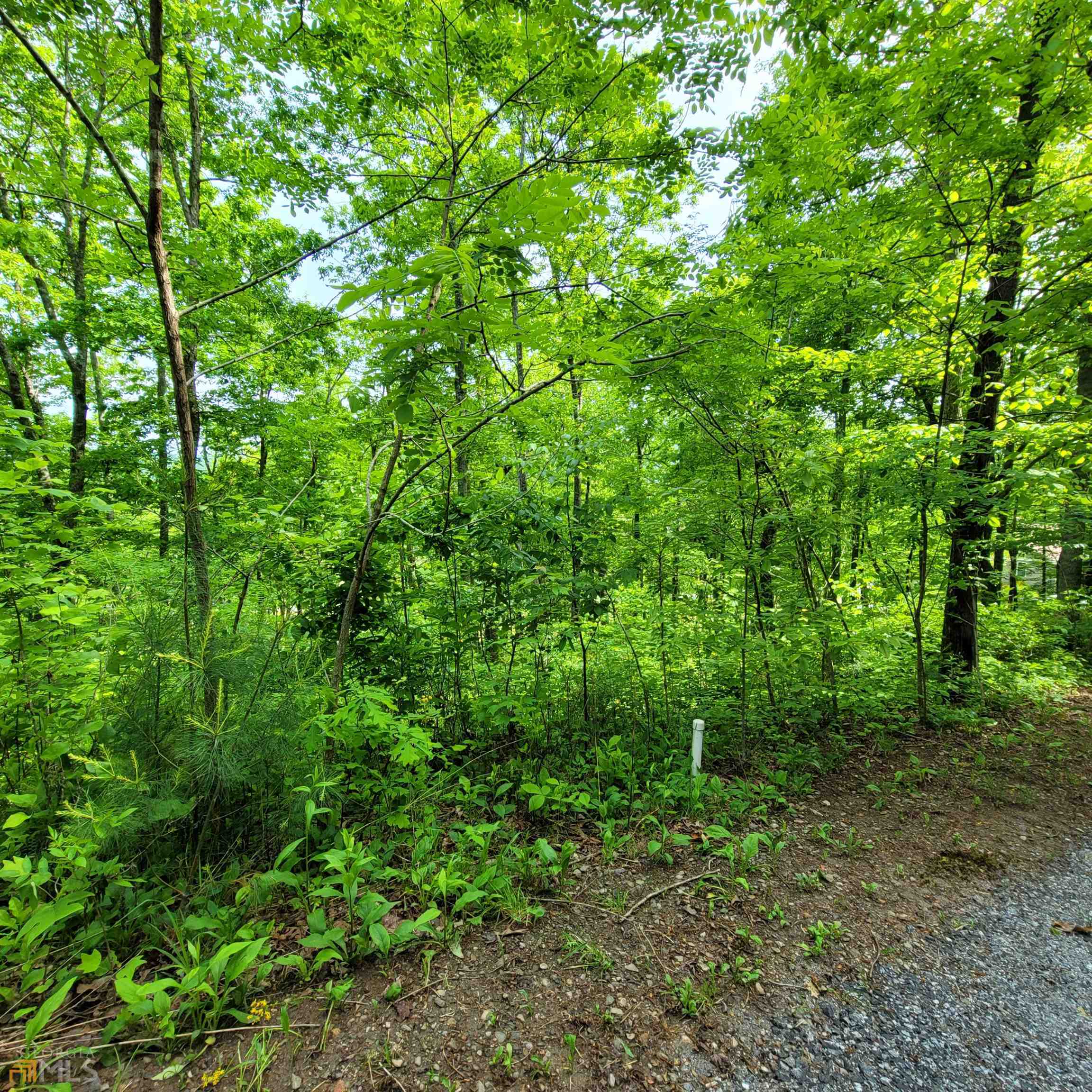 4 Oak Forest Acres Property Photo 1