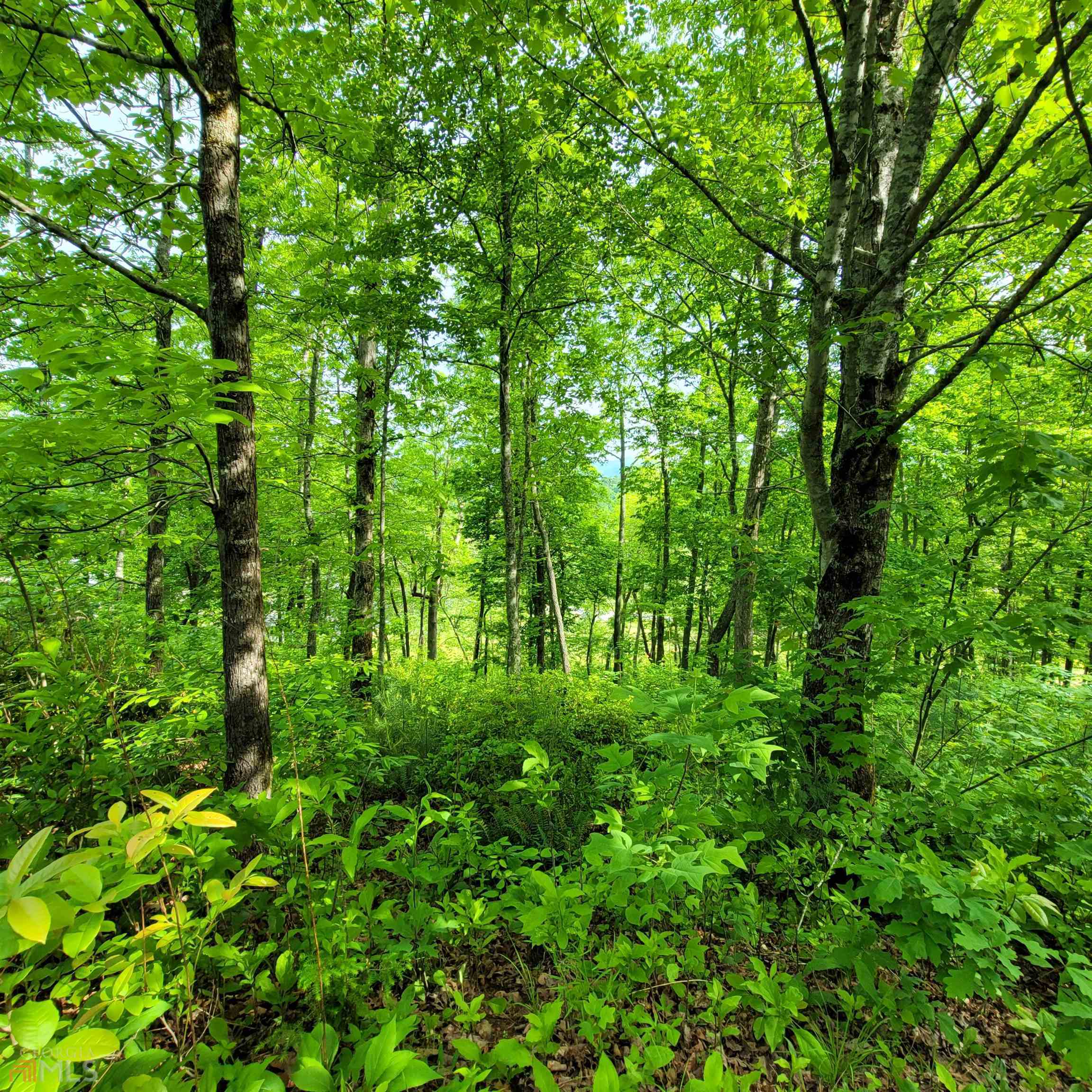 4 Oak Forest Acres Property Photo 17