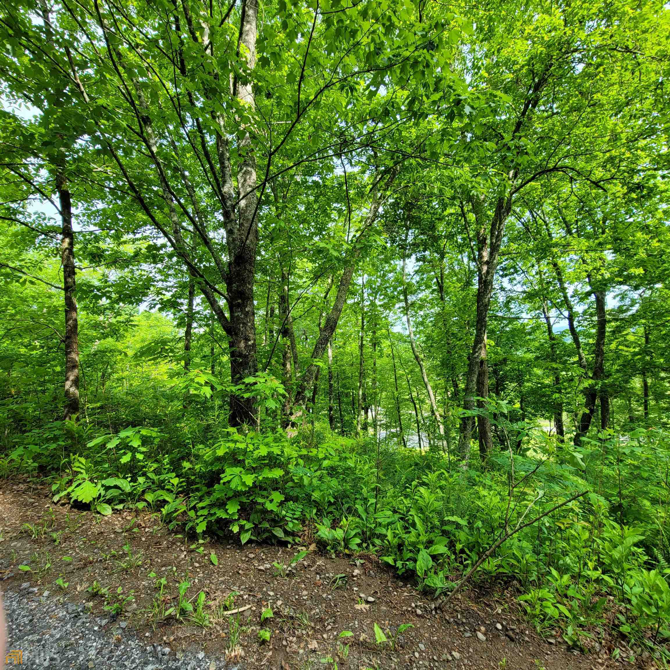 5 Oak Forest Acres Property Photo 1