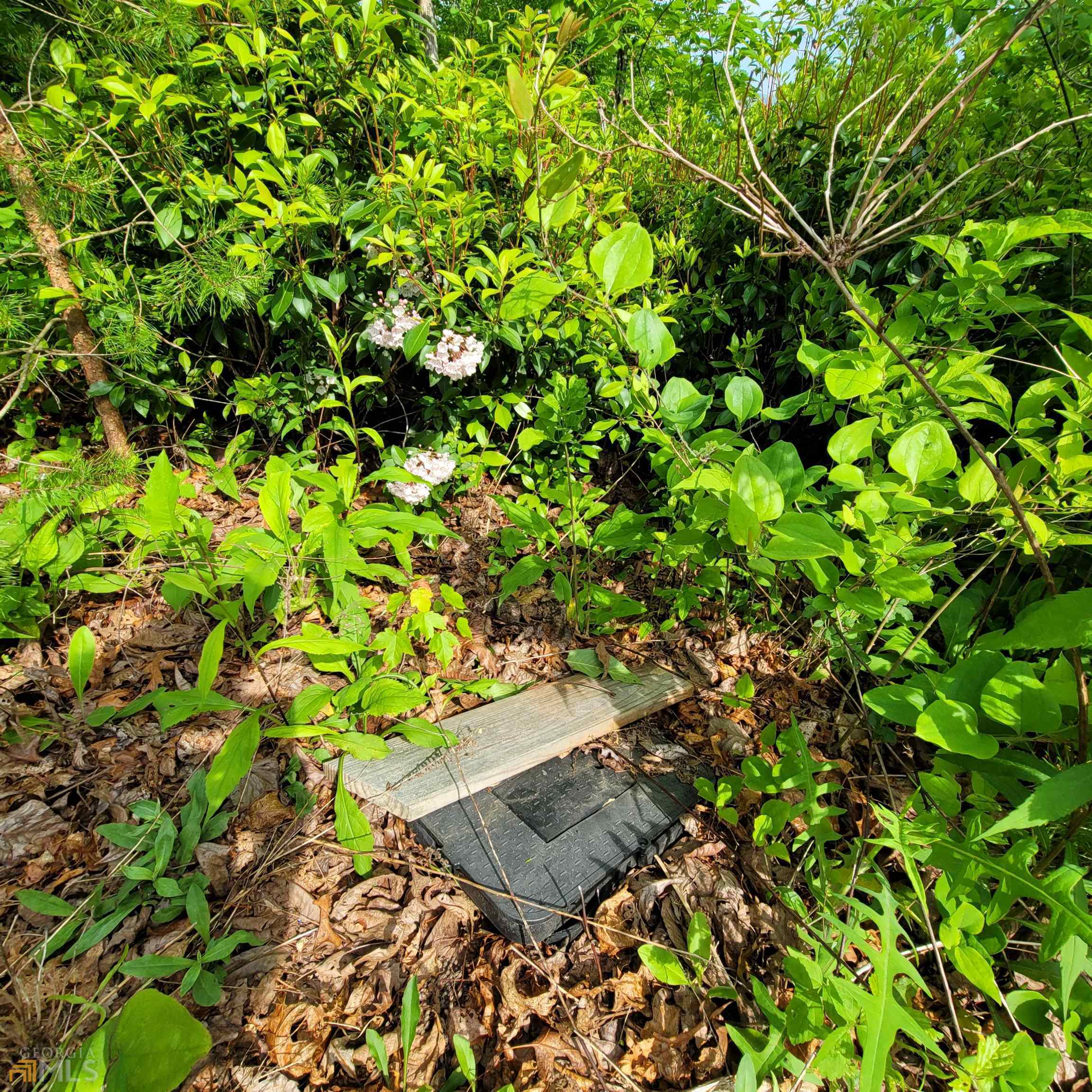 5 Oak Forest Acres Property Photo 3