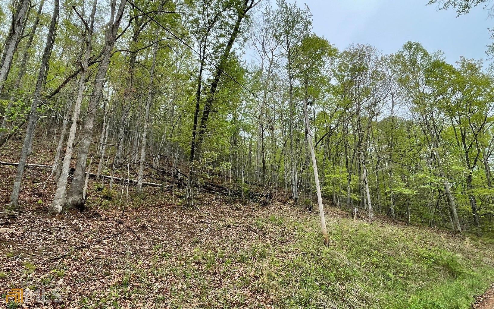 LOT 31 Nelson Ridge Property Photo 1