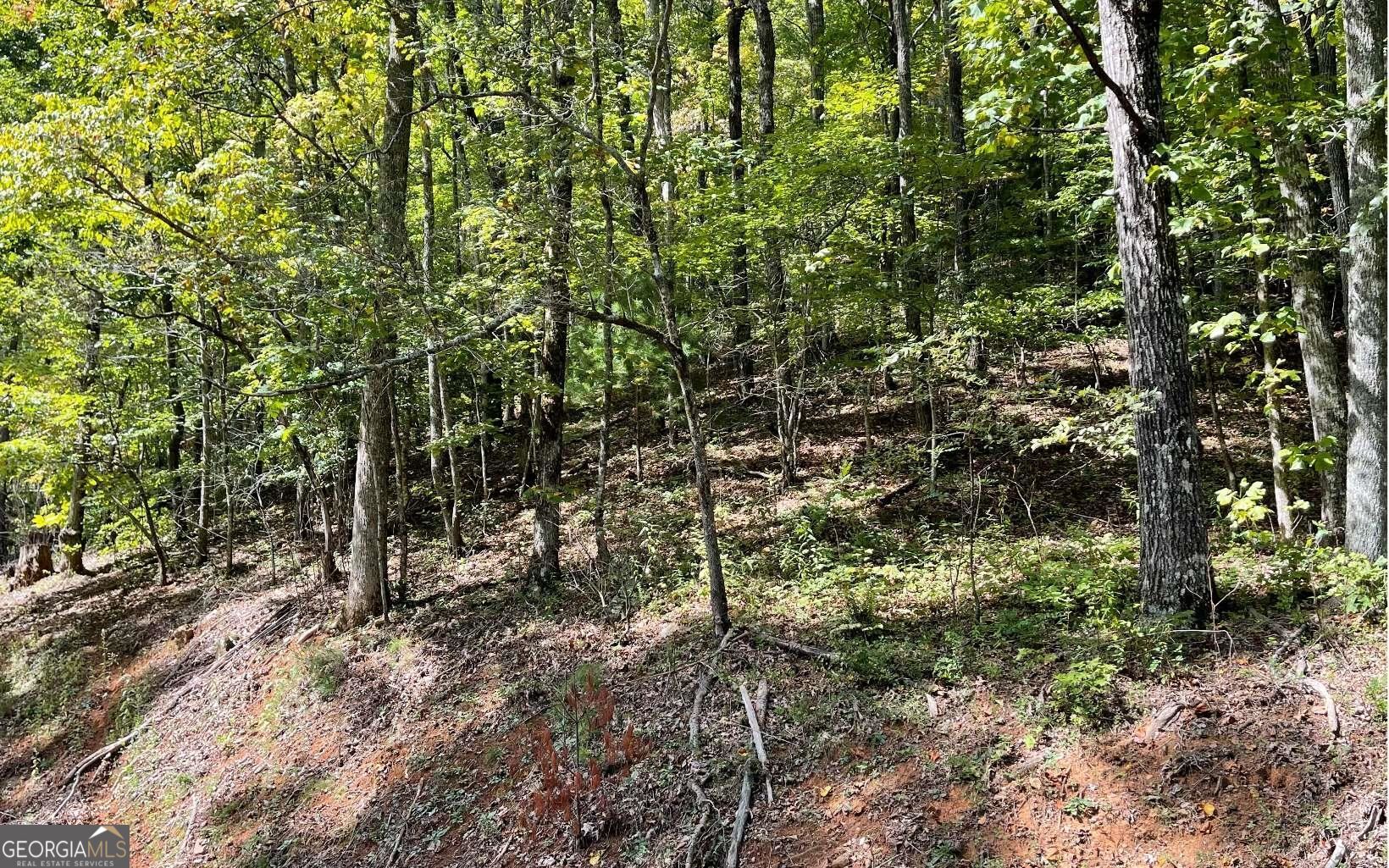 Lot 31 Nelson Ridge Property Photo 2