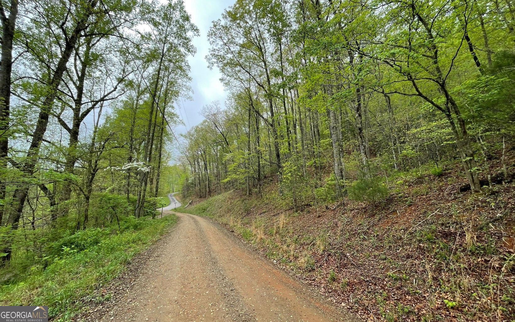 Lot 31 Nelson Ridge Property Photo 3
