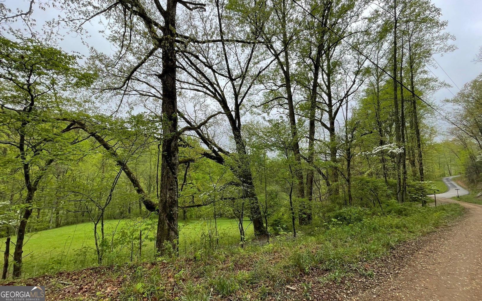 Lot 31 Nelson Ridge Property Photo 4