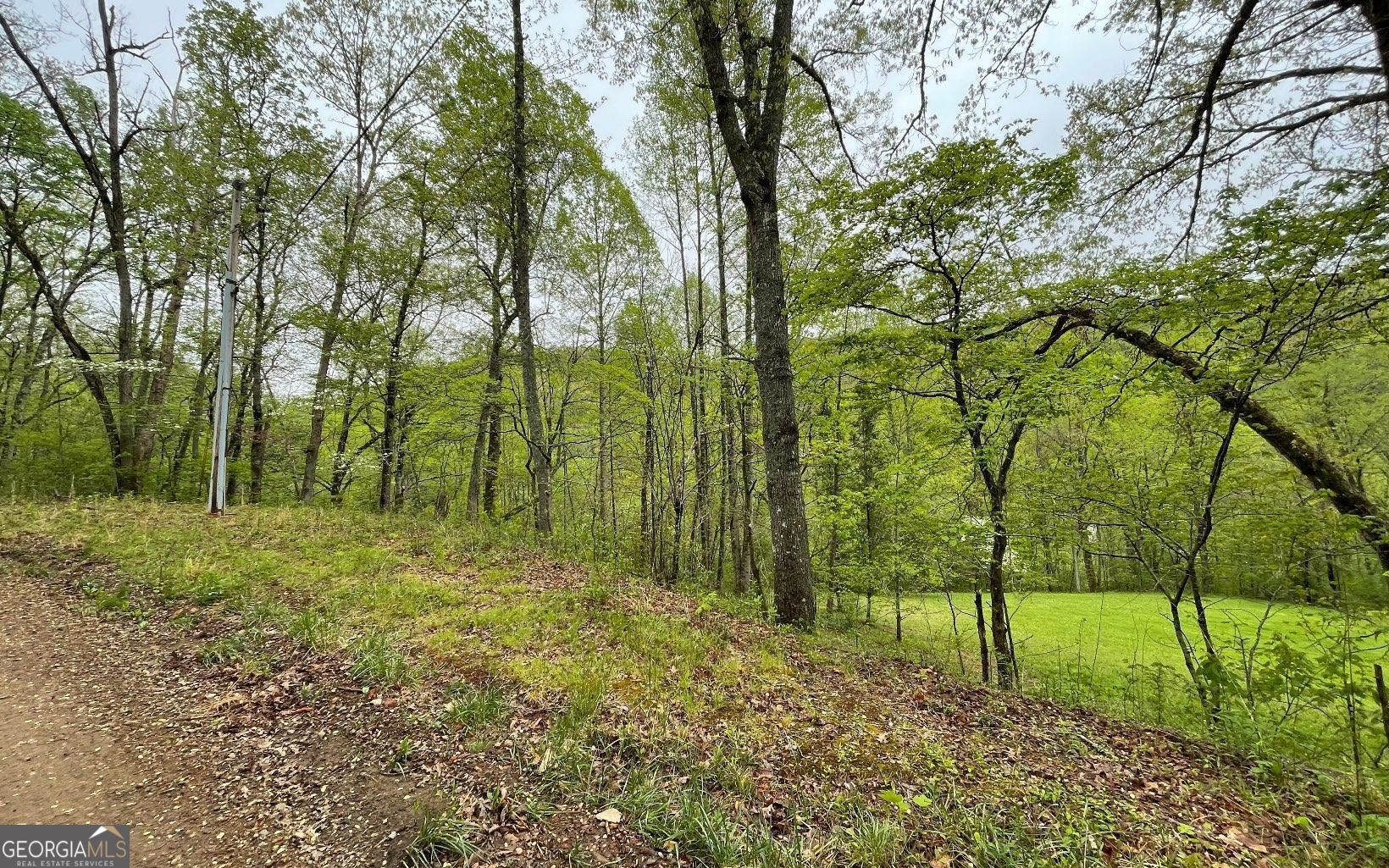 Lot 31 Nelson Ridge Property Photo 5