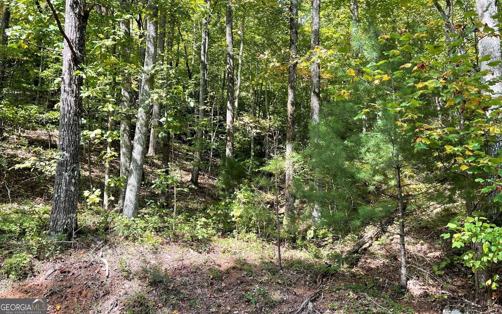 Lot 31 Nelson Ridge Property Photo 6